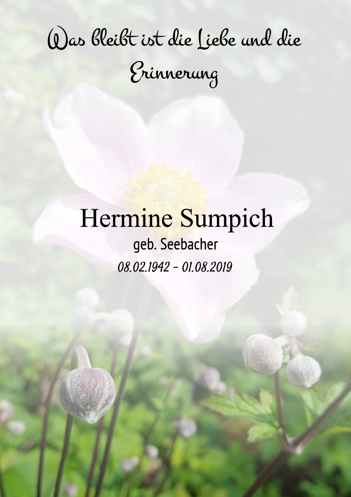 Traueranzeige von Hermine Sumpich