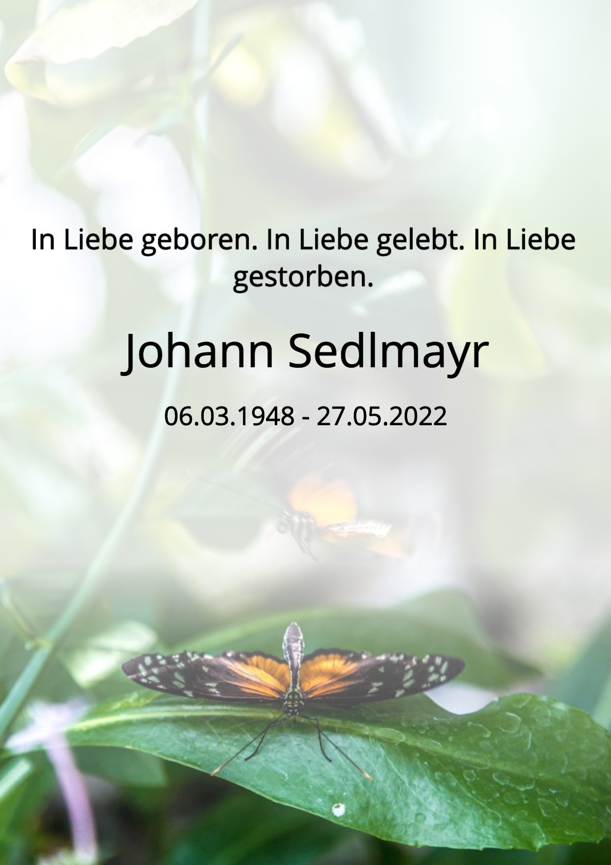 Traueranzeige von Johann Sedlmayr