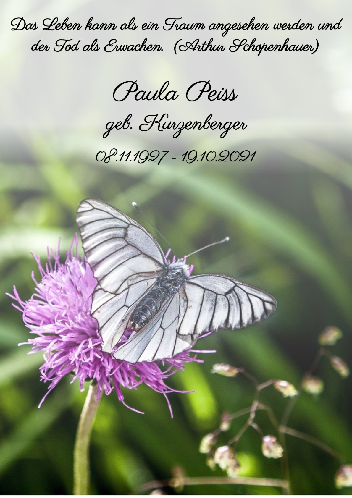 Traueranzeige von Paula Peiß