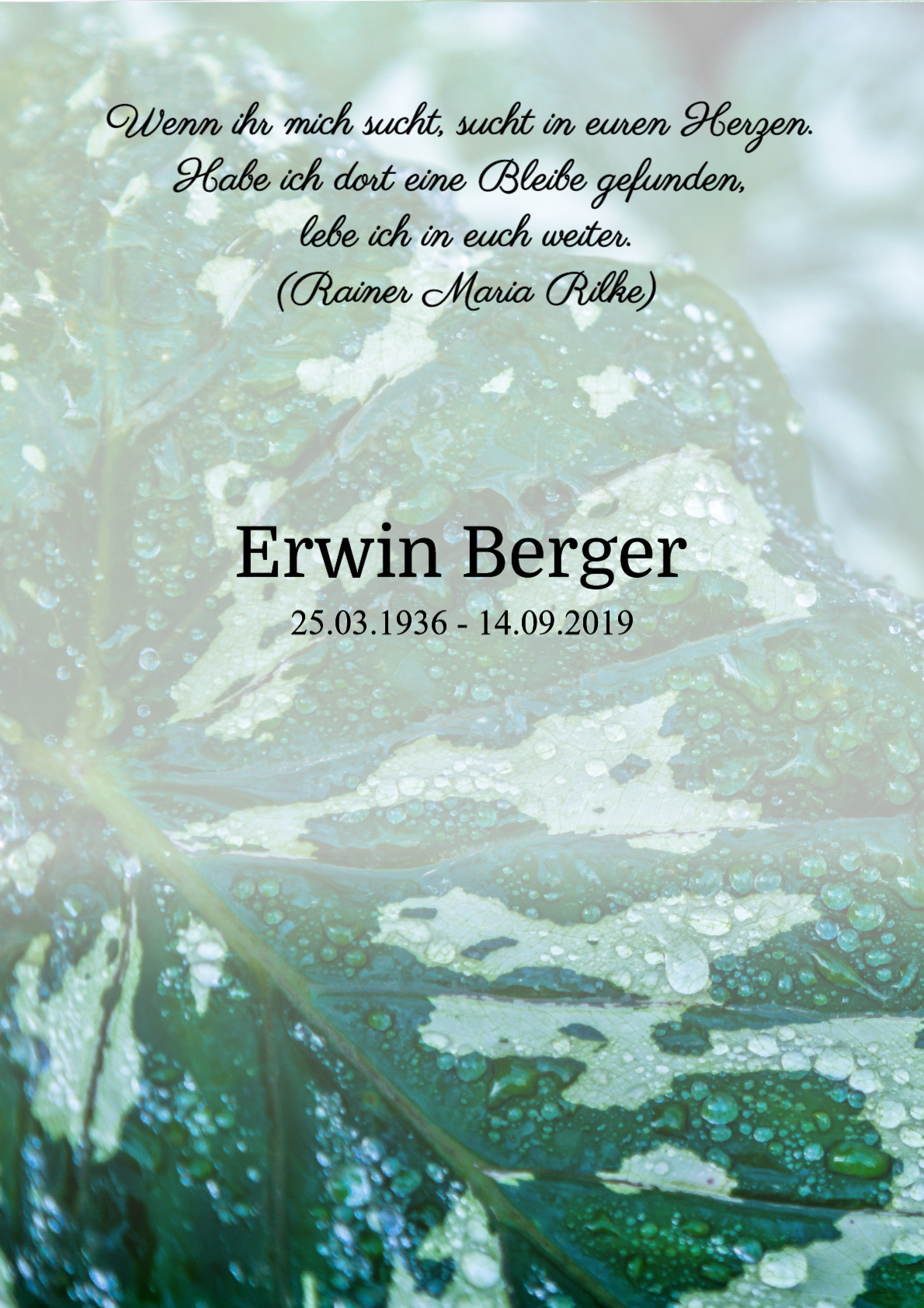 Traueranzeige von Erwin Berger