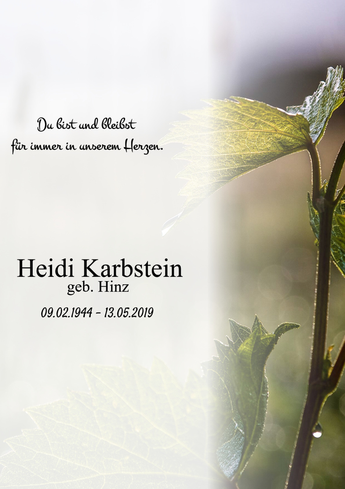 Traueranzeige von Heidi Karbstein