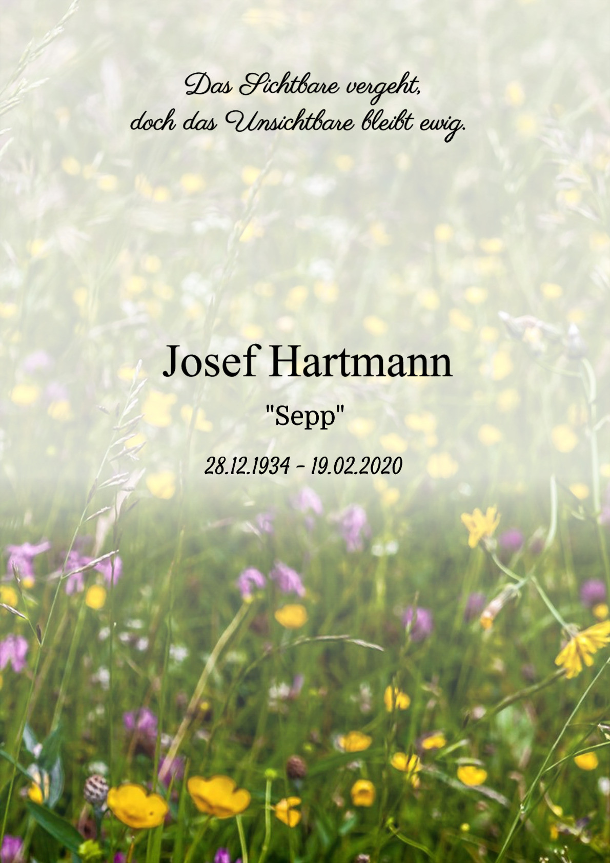 Traueranzeige von Josef Hartmann