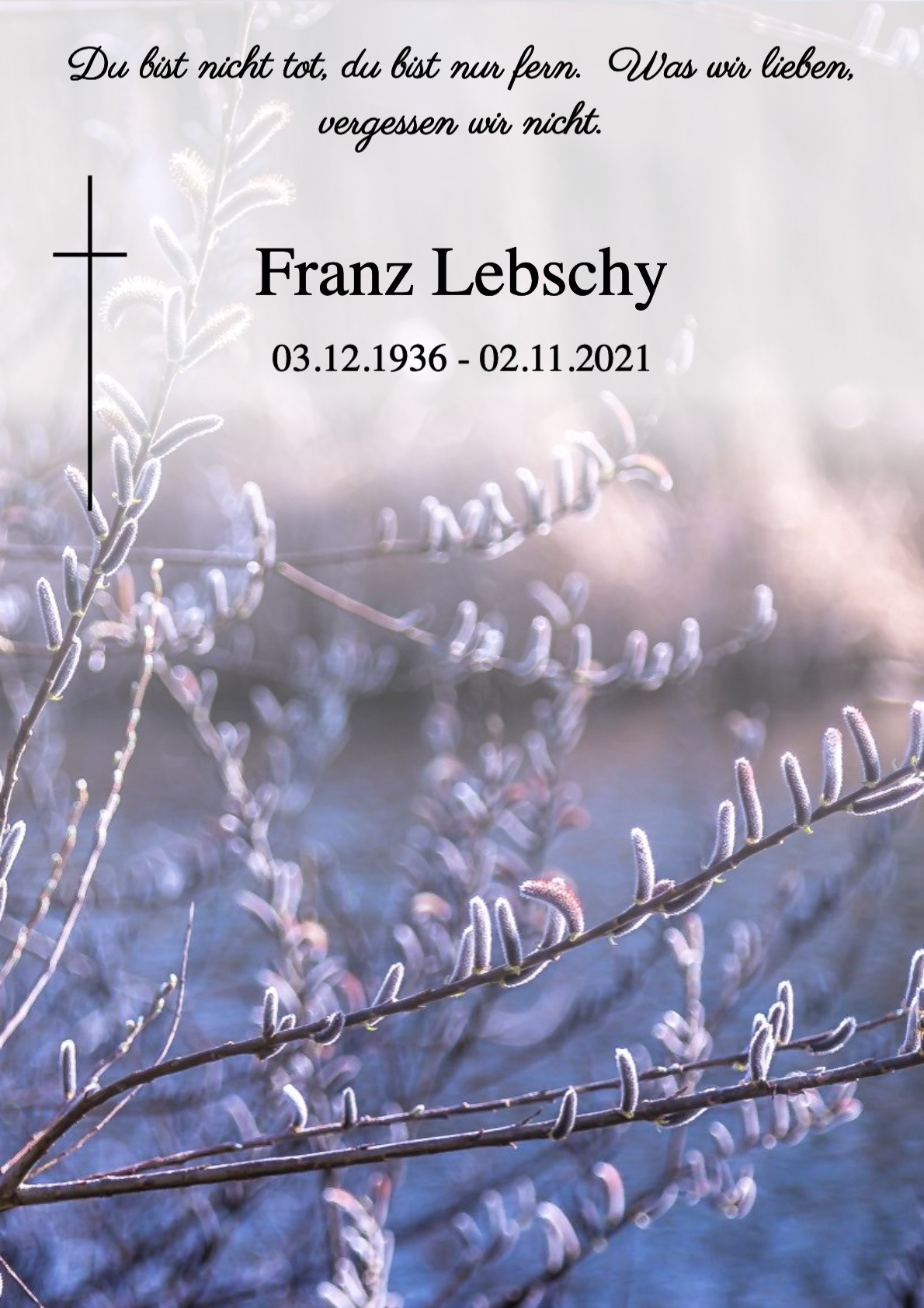 Traueranzeige von Franz Lebschy
