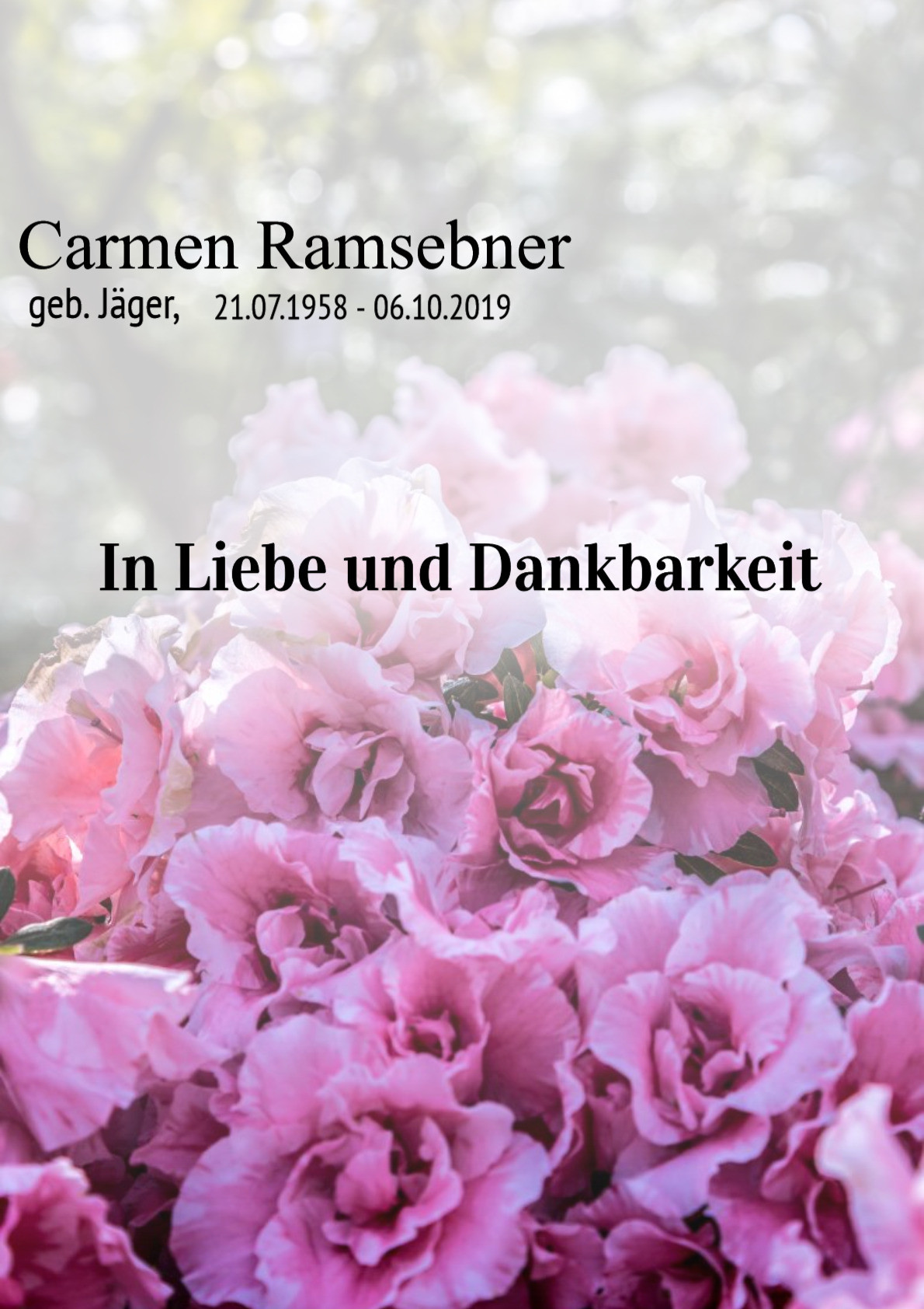 Traueranzeige von Carmen Ramsebner