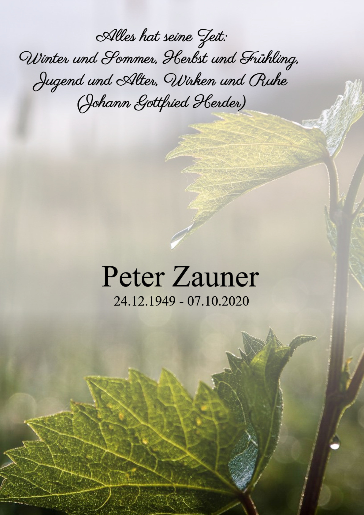 Traueranzeige von Peter Zauner