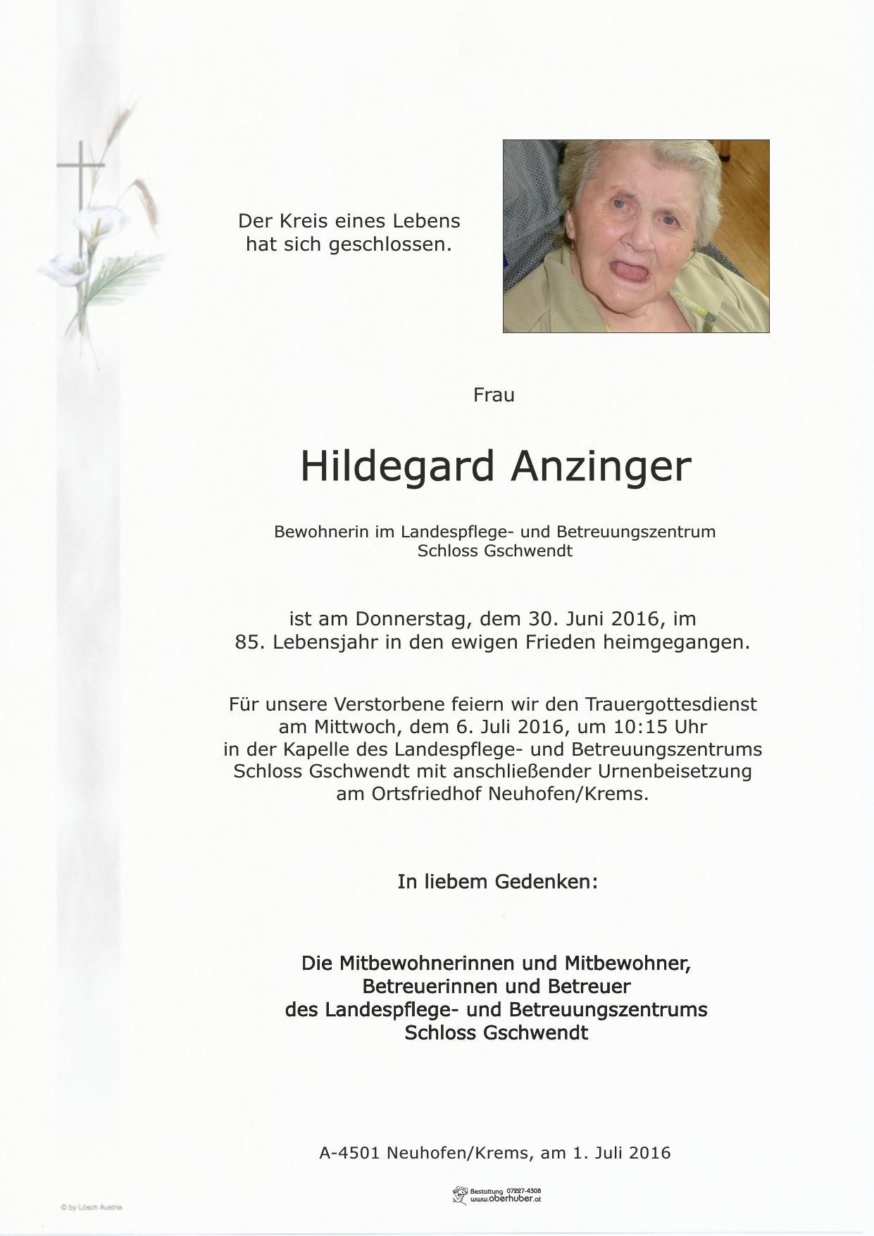 Traueranzeige von Hilde Anzinger