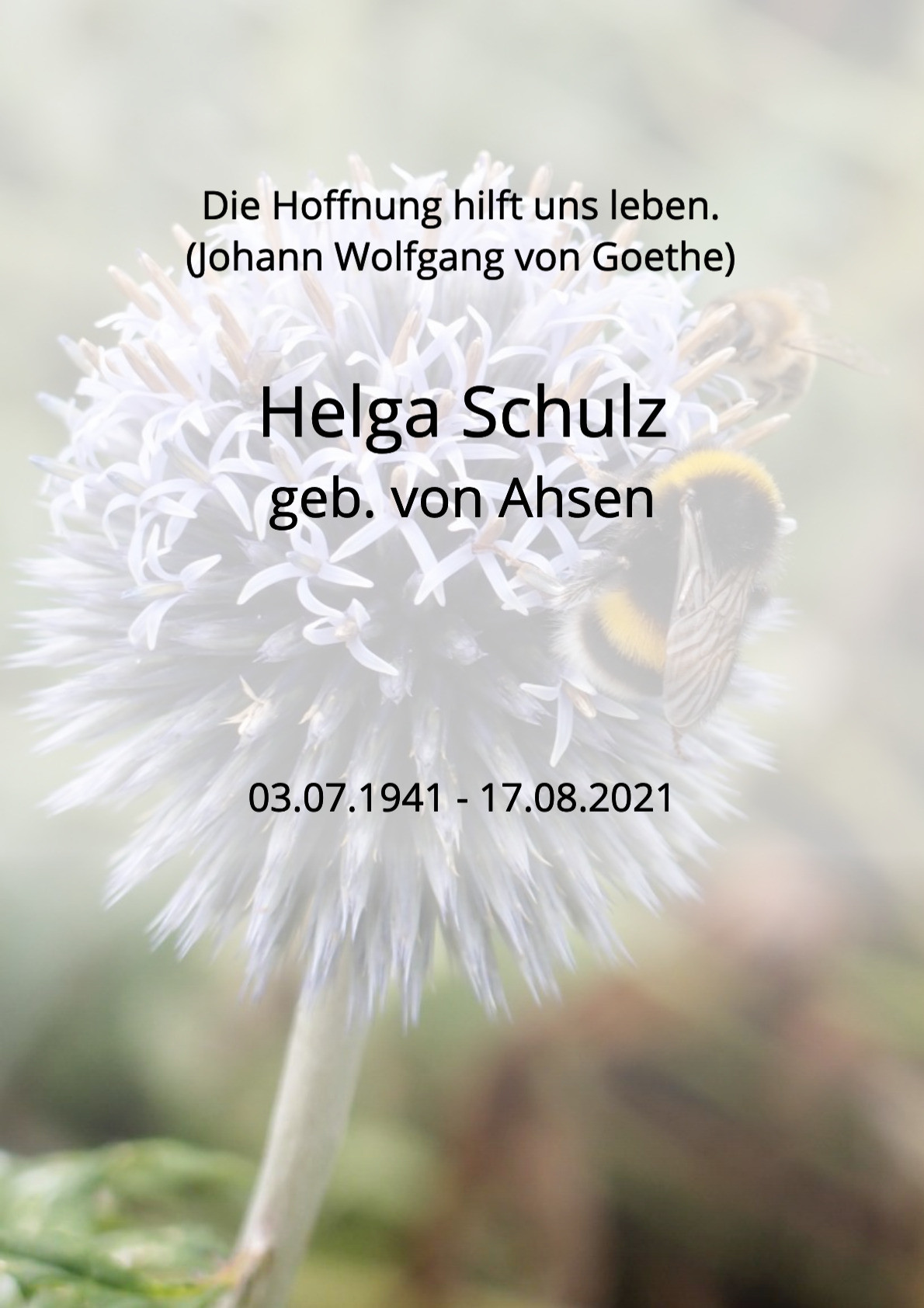 Traueranzeige von Helga Schulz