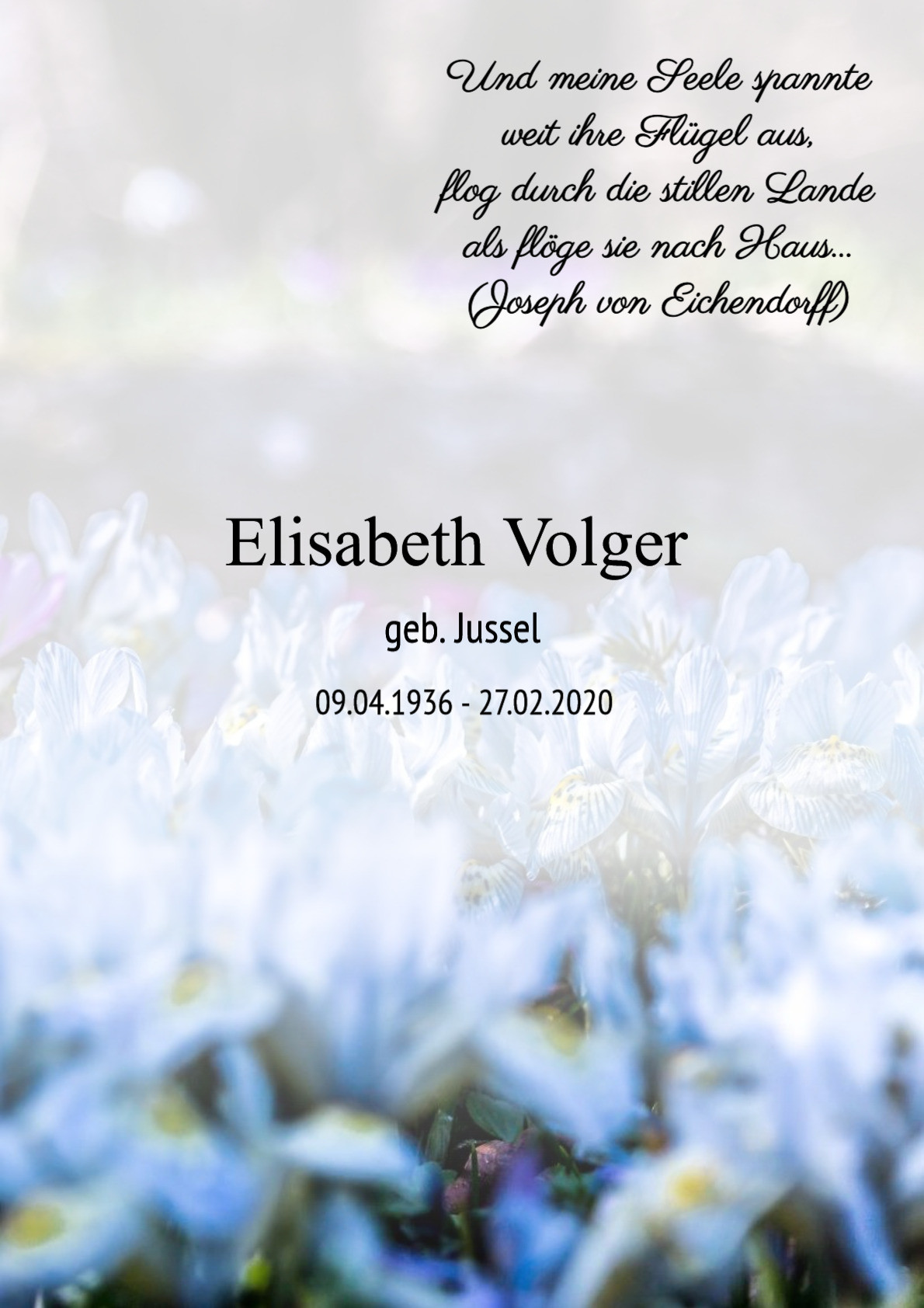 Traueranzeige von Elisabeth Volger