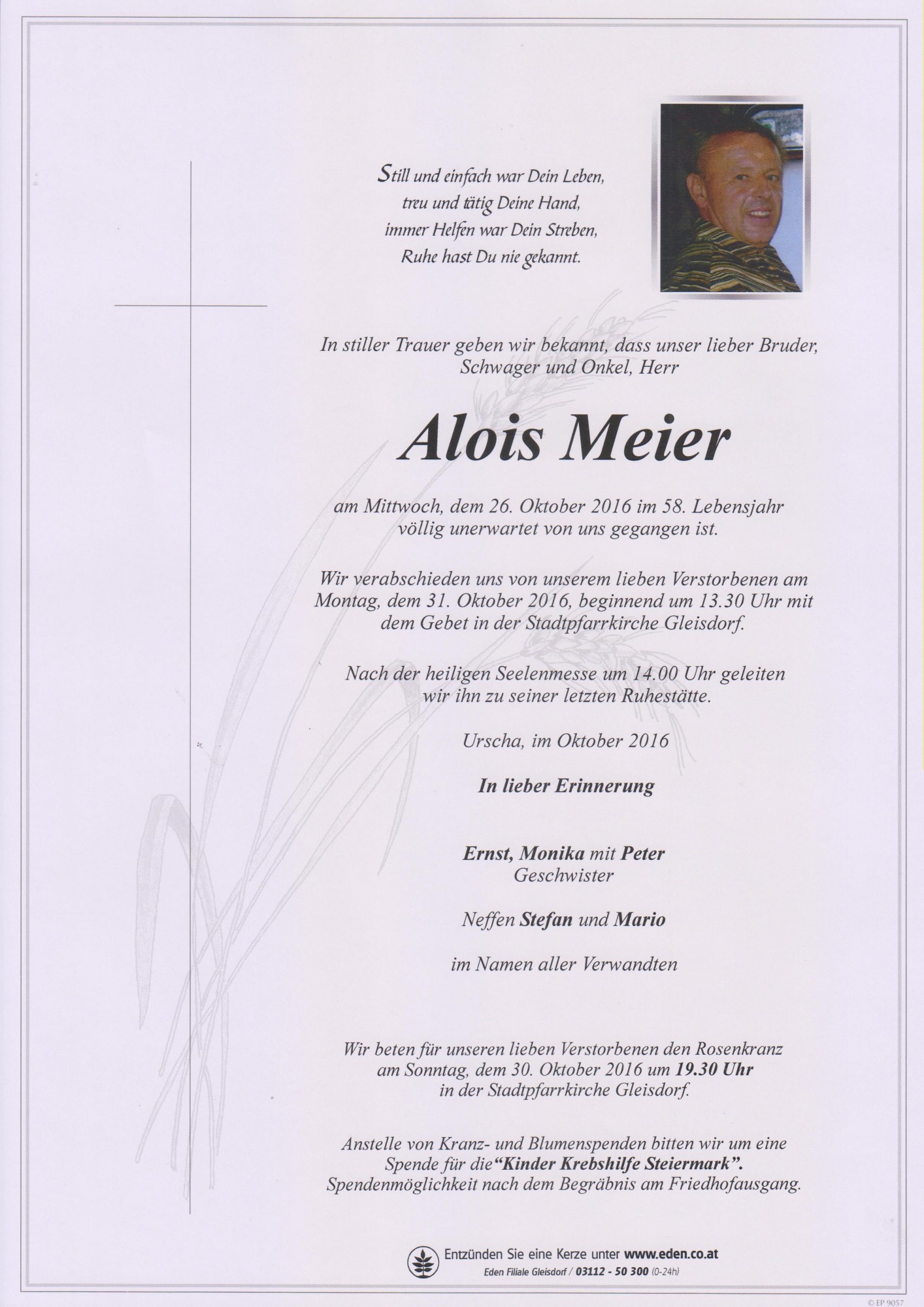Traueranzeige von Alois Meier