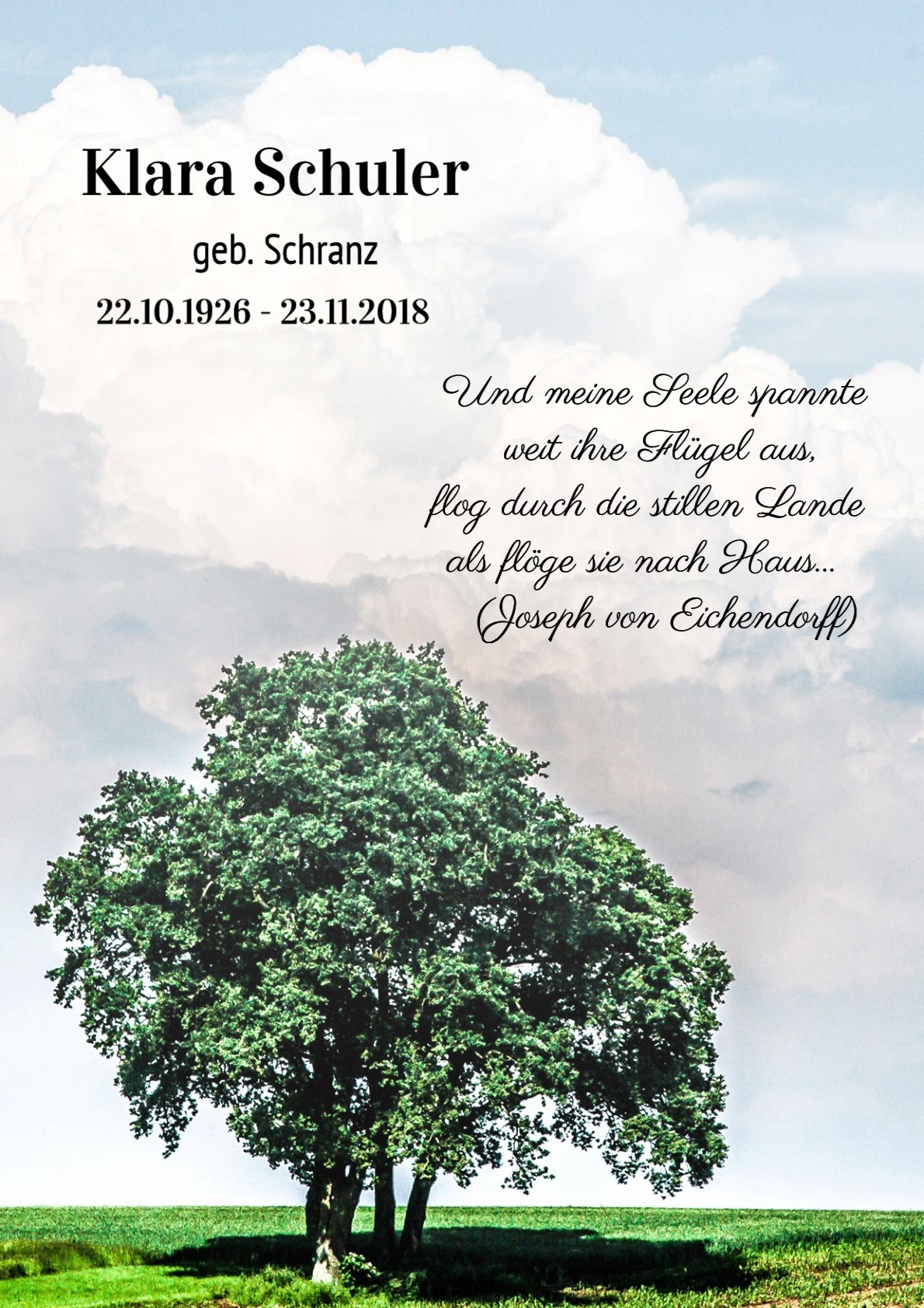 Traueranzeige von Klara Schuler