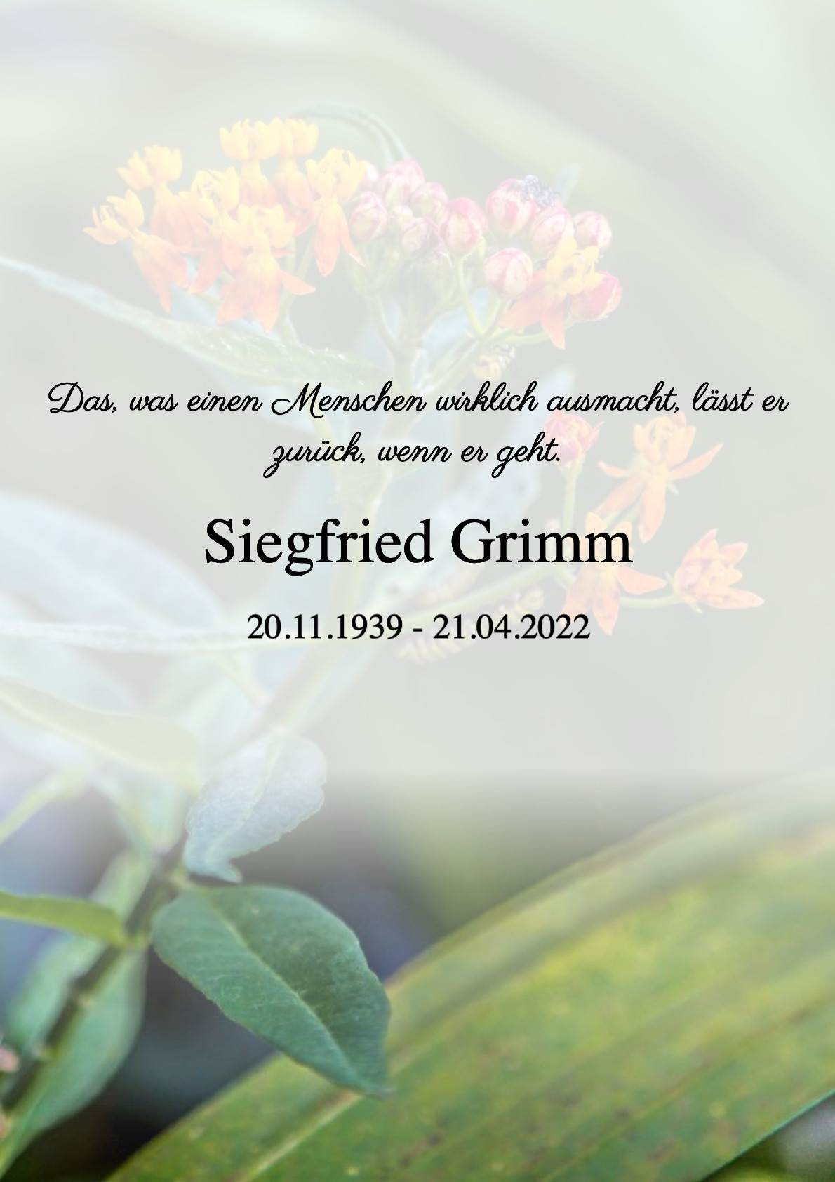 Traueranzeige von Siegfried Grimm