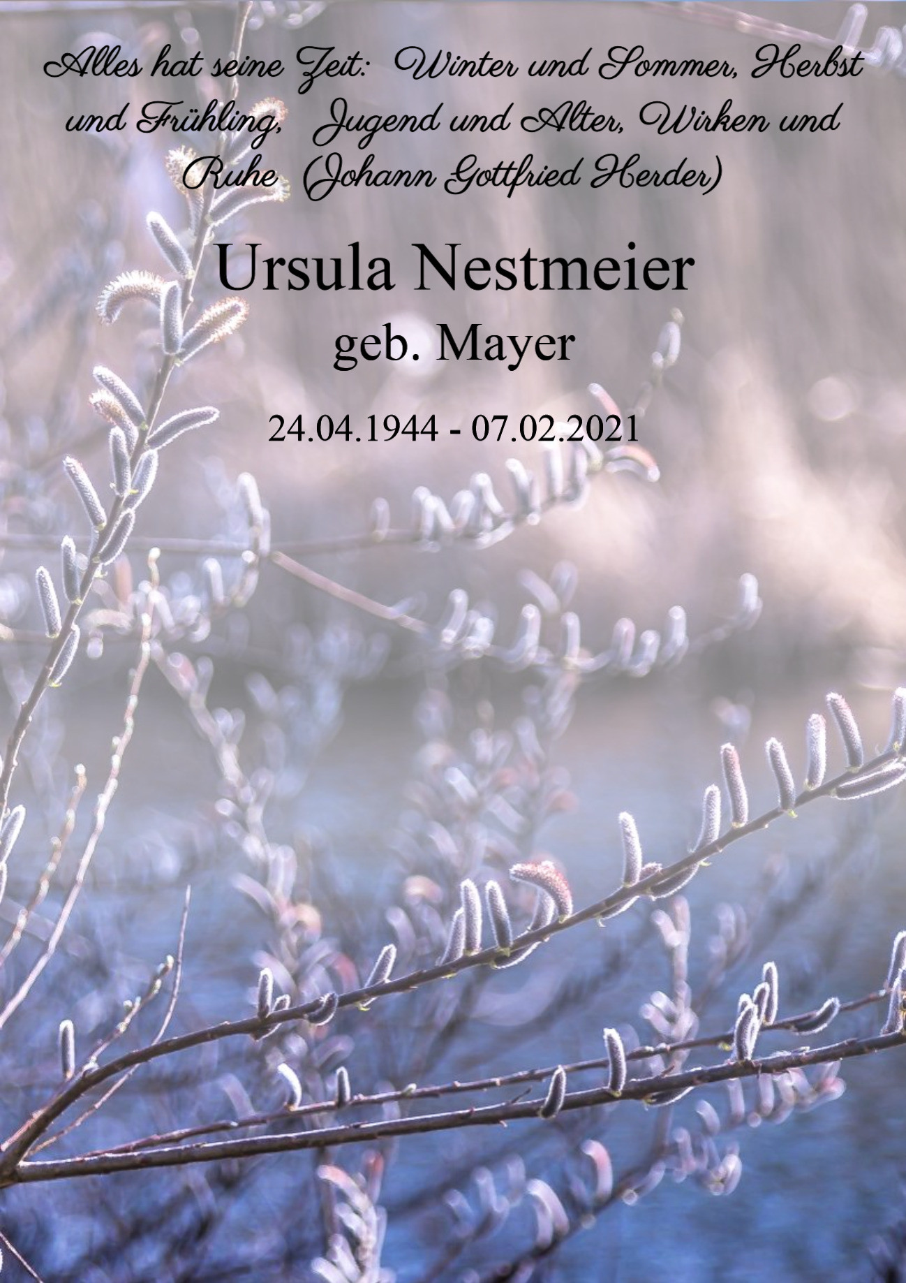 Traueranzeige von Ursula Nestmeier