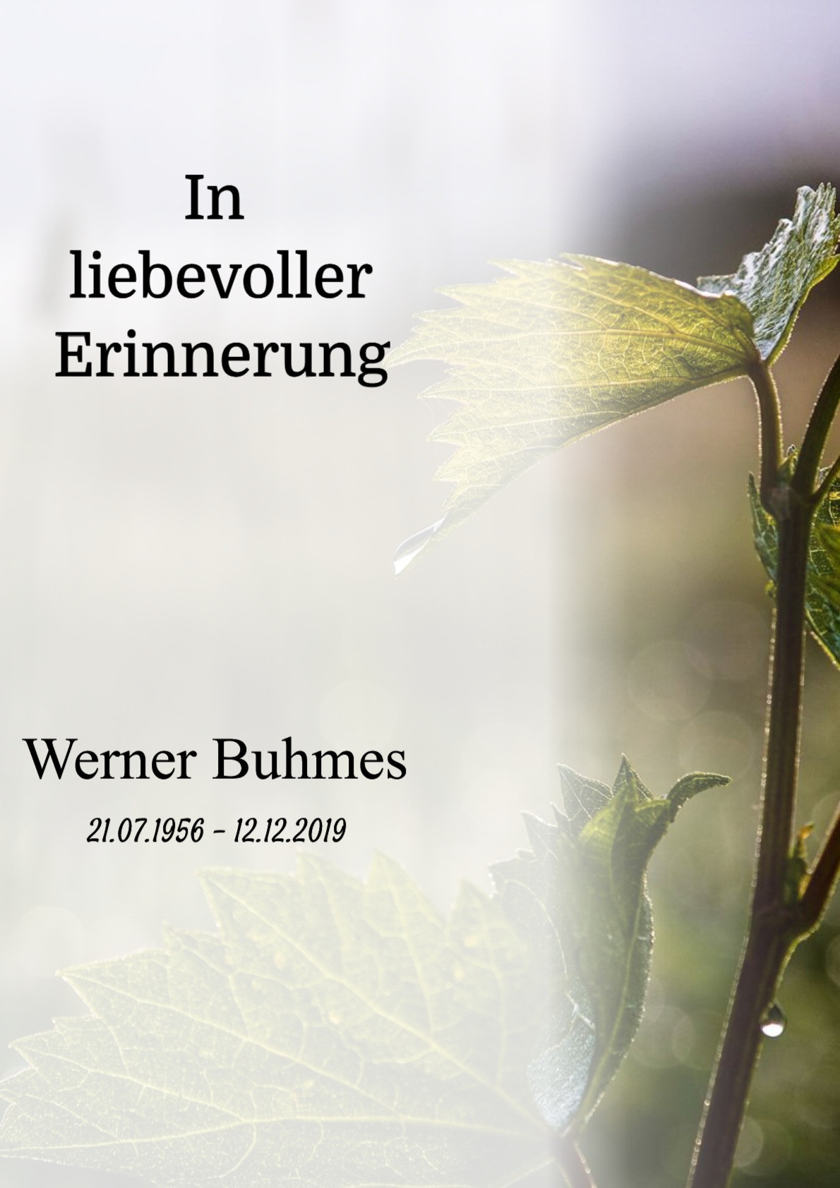 Traueranzeige von Werner Buhmes