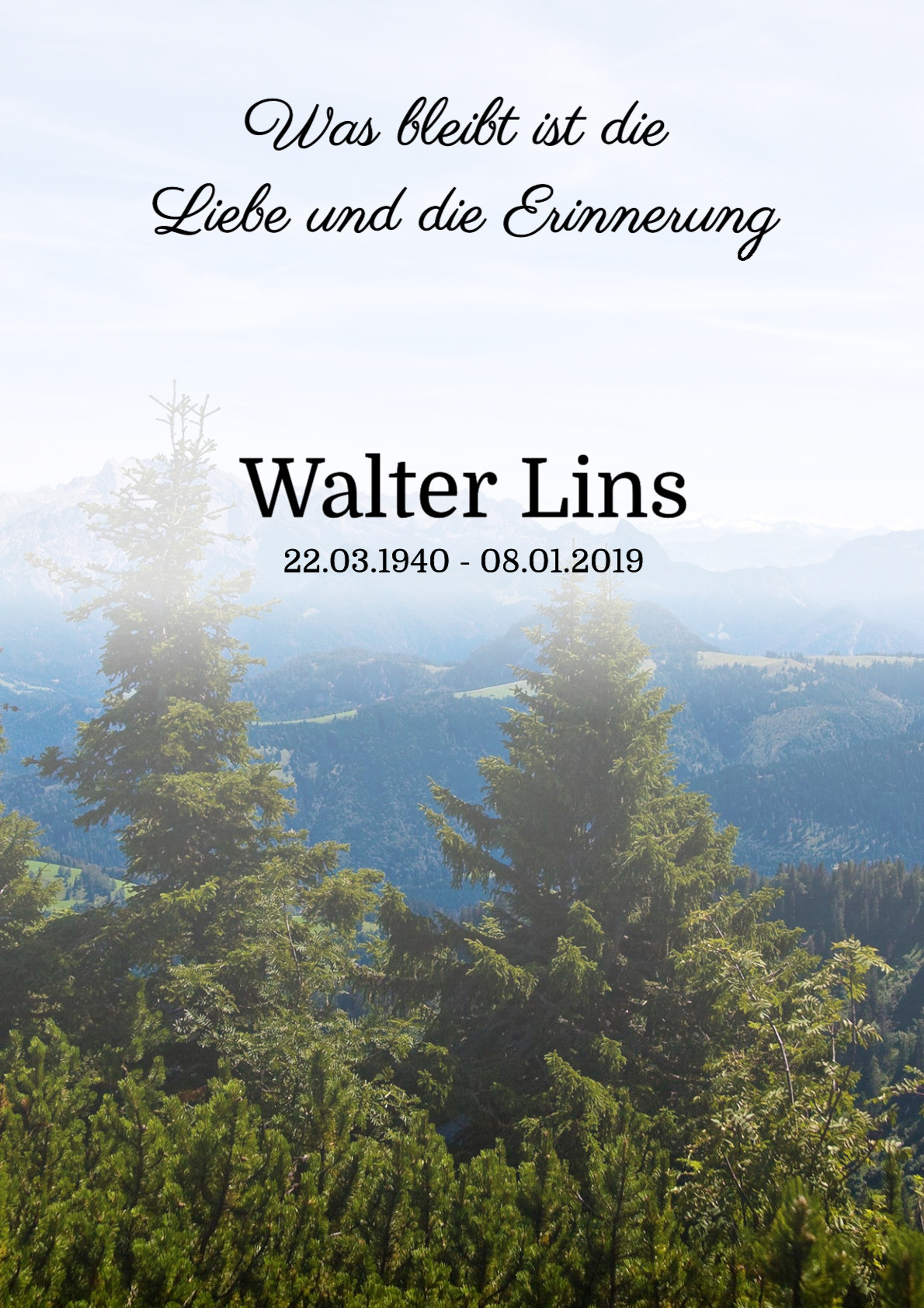 Traueranzeige von Walter Lins