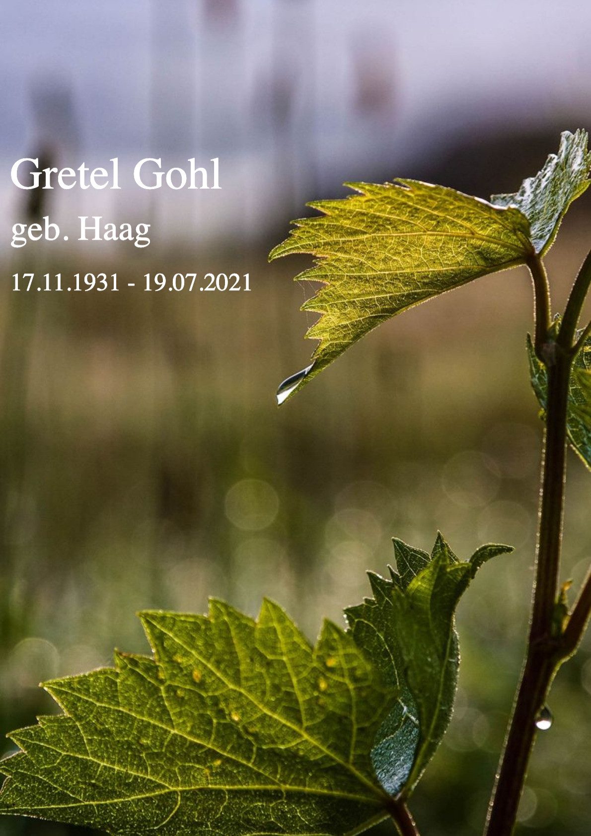 Traueranzeige von Gretel Gohl