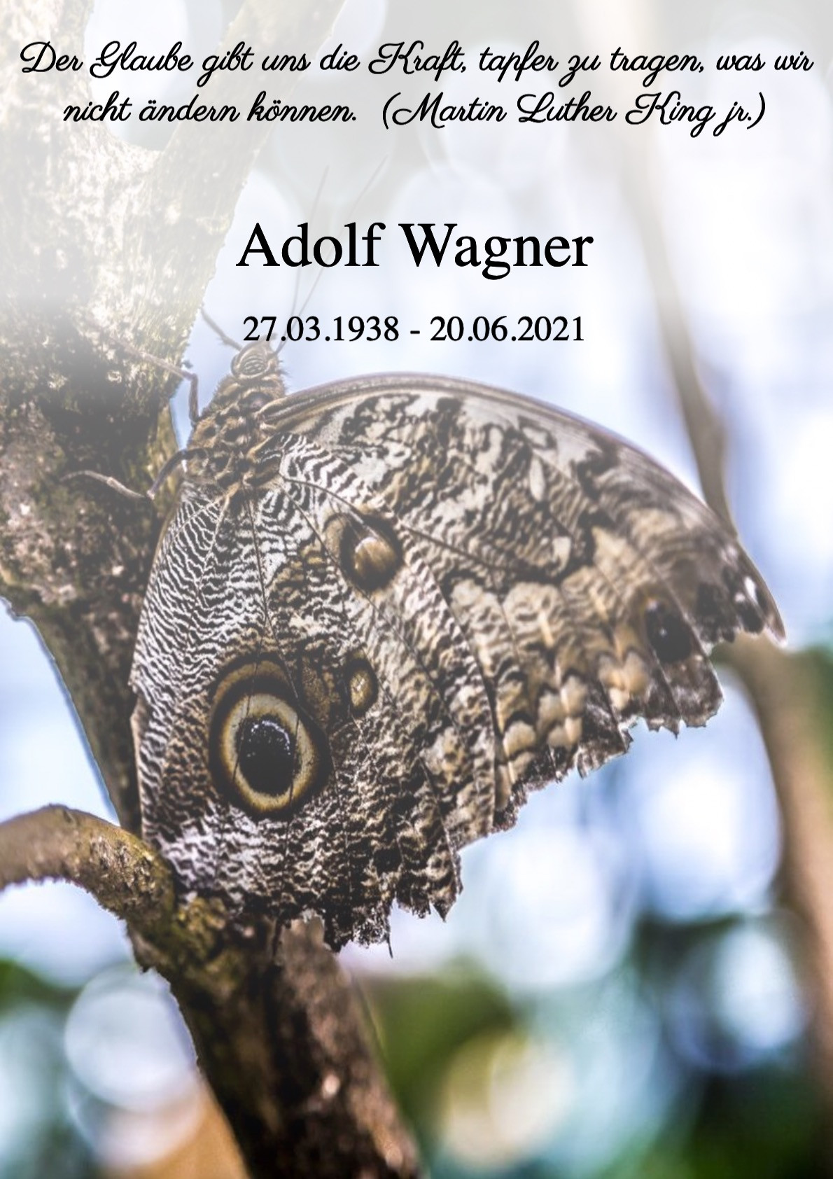Traueranzeige von Adolf Wagner