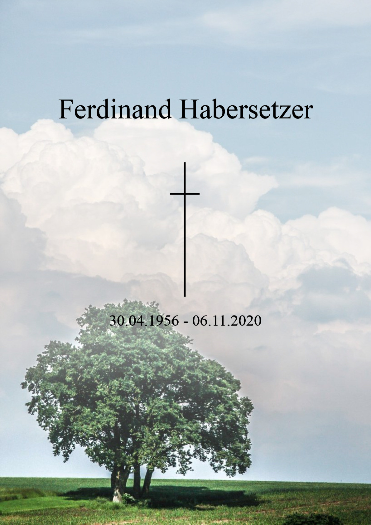 Traueranzeige von Ferdinand Habersetzer