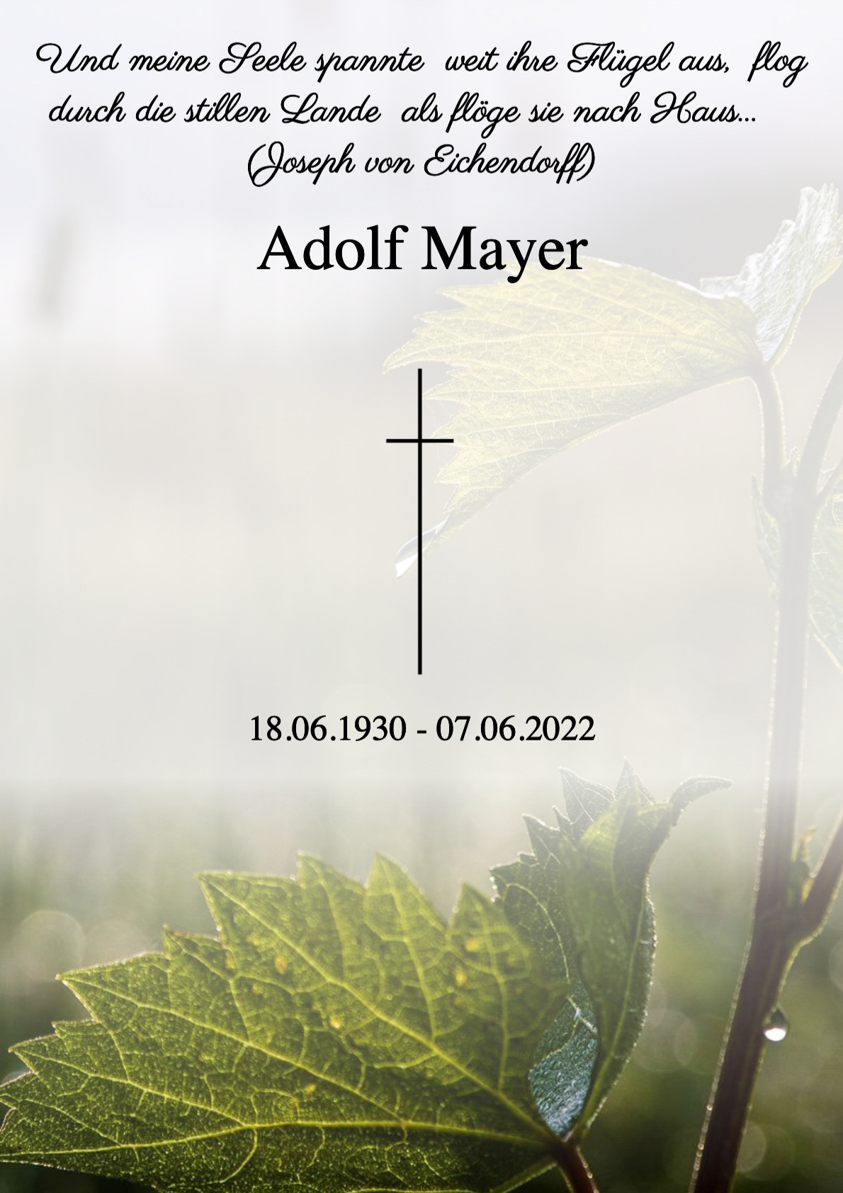 Traueranzeige von Adolf Mayer
