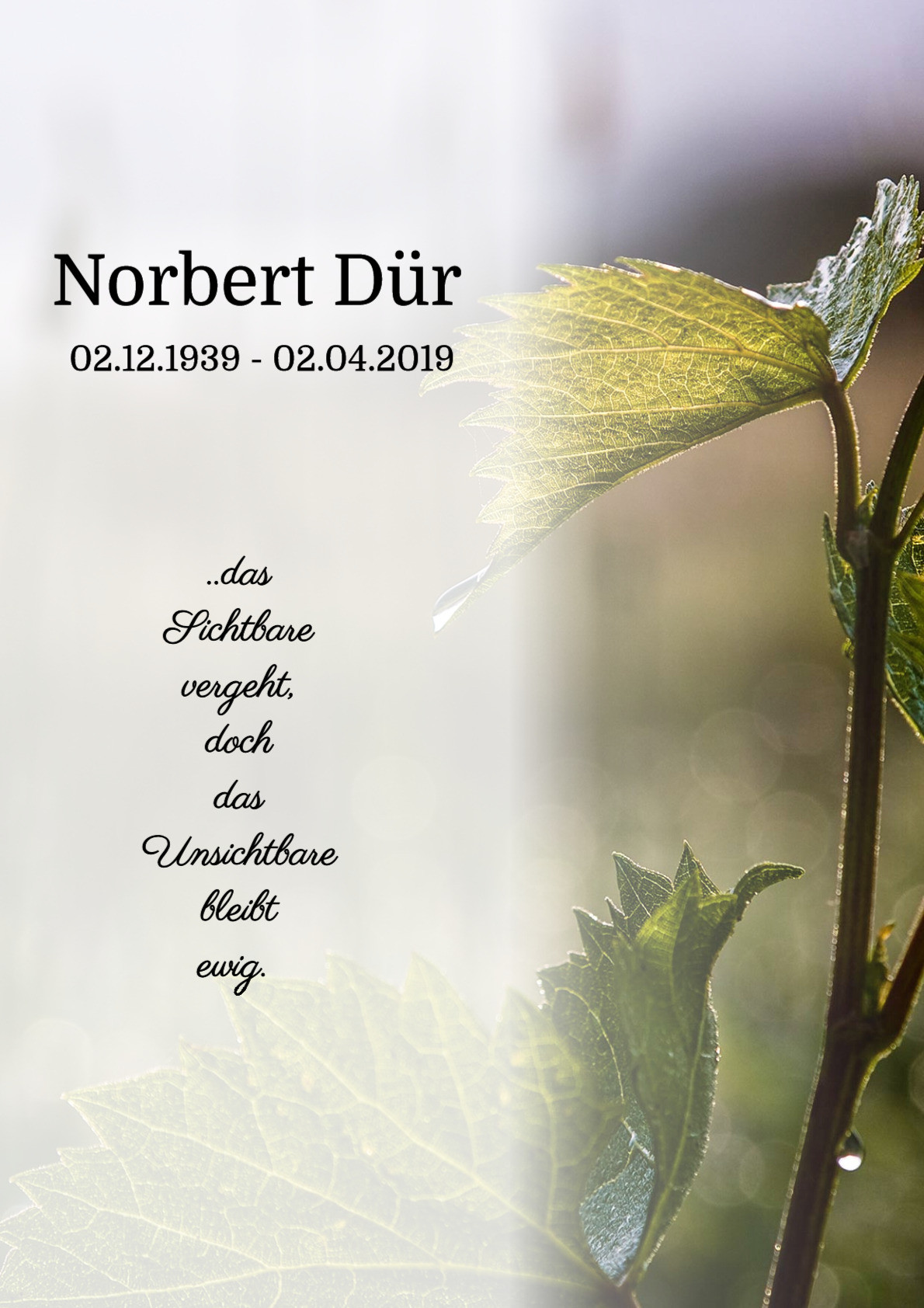 Traueranzeige von Norbert Dür