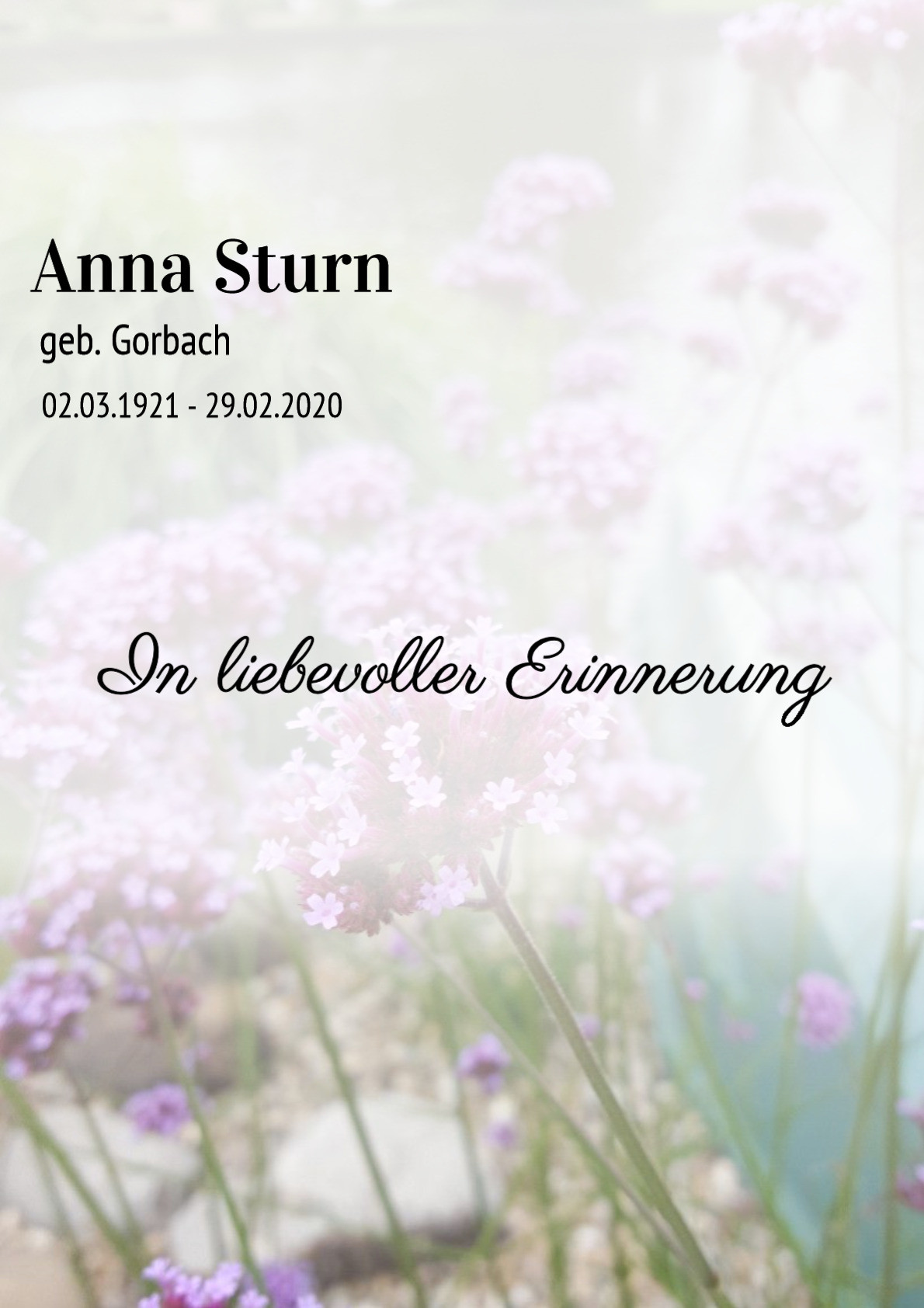 Traueranzeige von Anna Sturn
