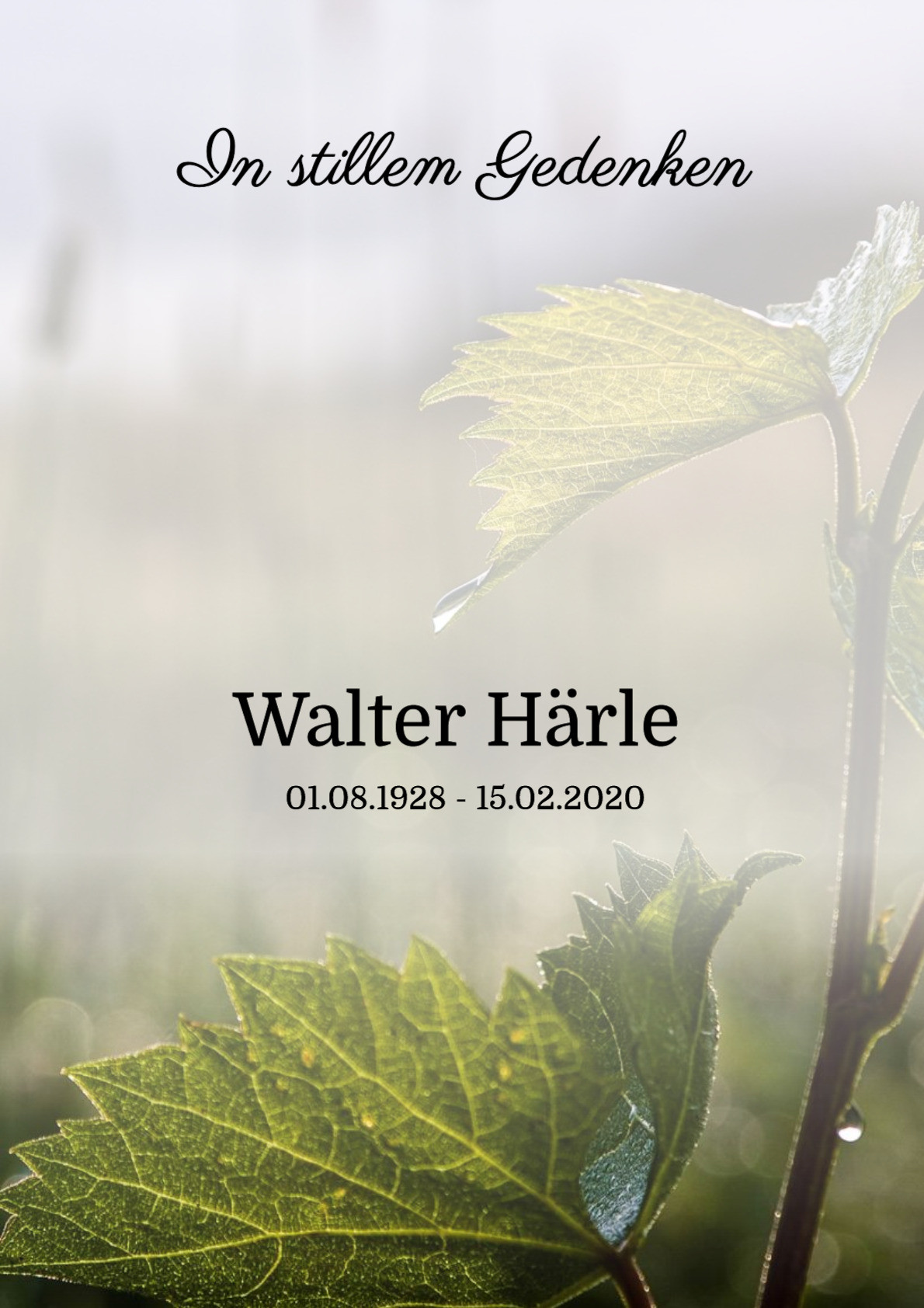 Traueranzeige von Walter Härle