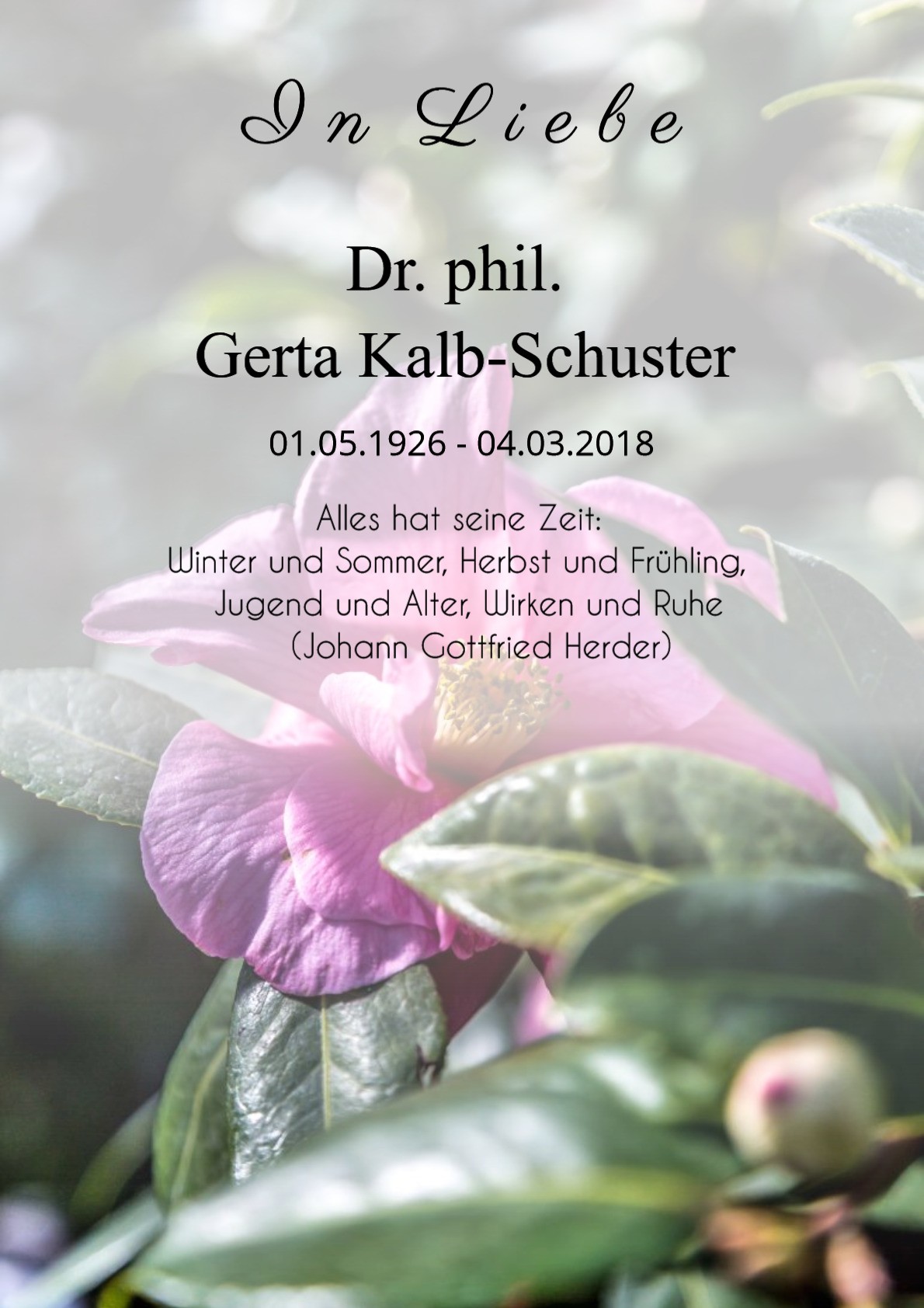 Traueranzeige von Dr. phil. Gerta Kalb-Schuster