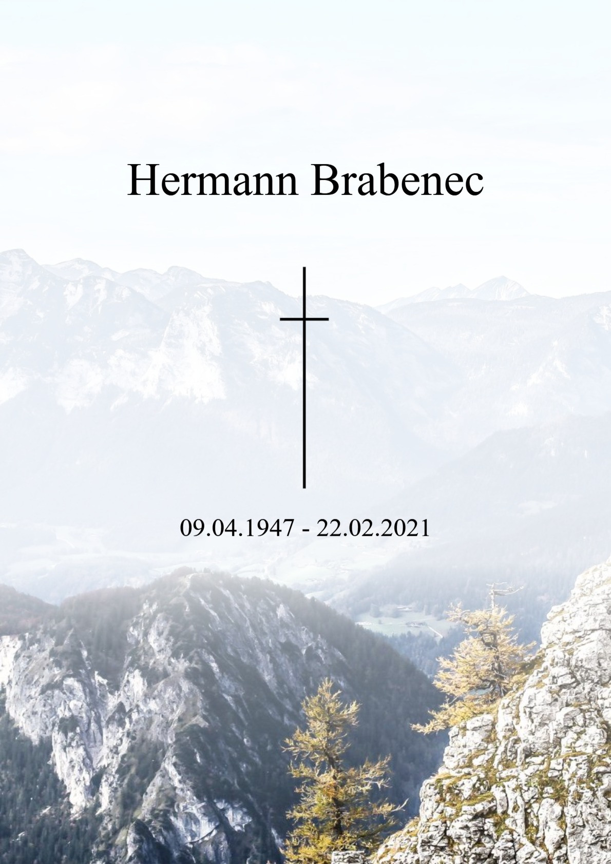 Traueranzeige von Hermann Brabenec