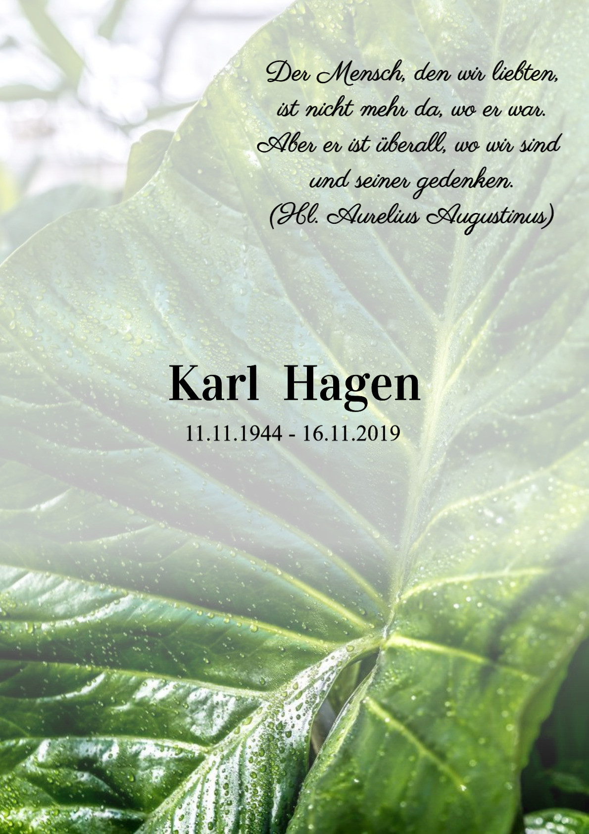 Traueranzeige von Karl Hagen