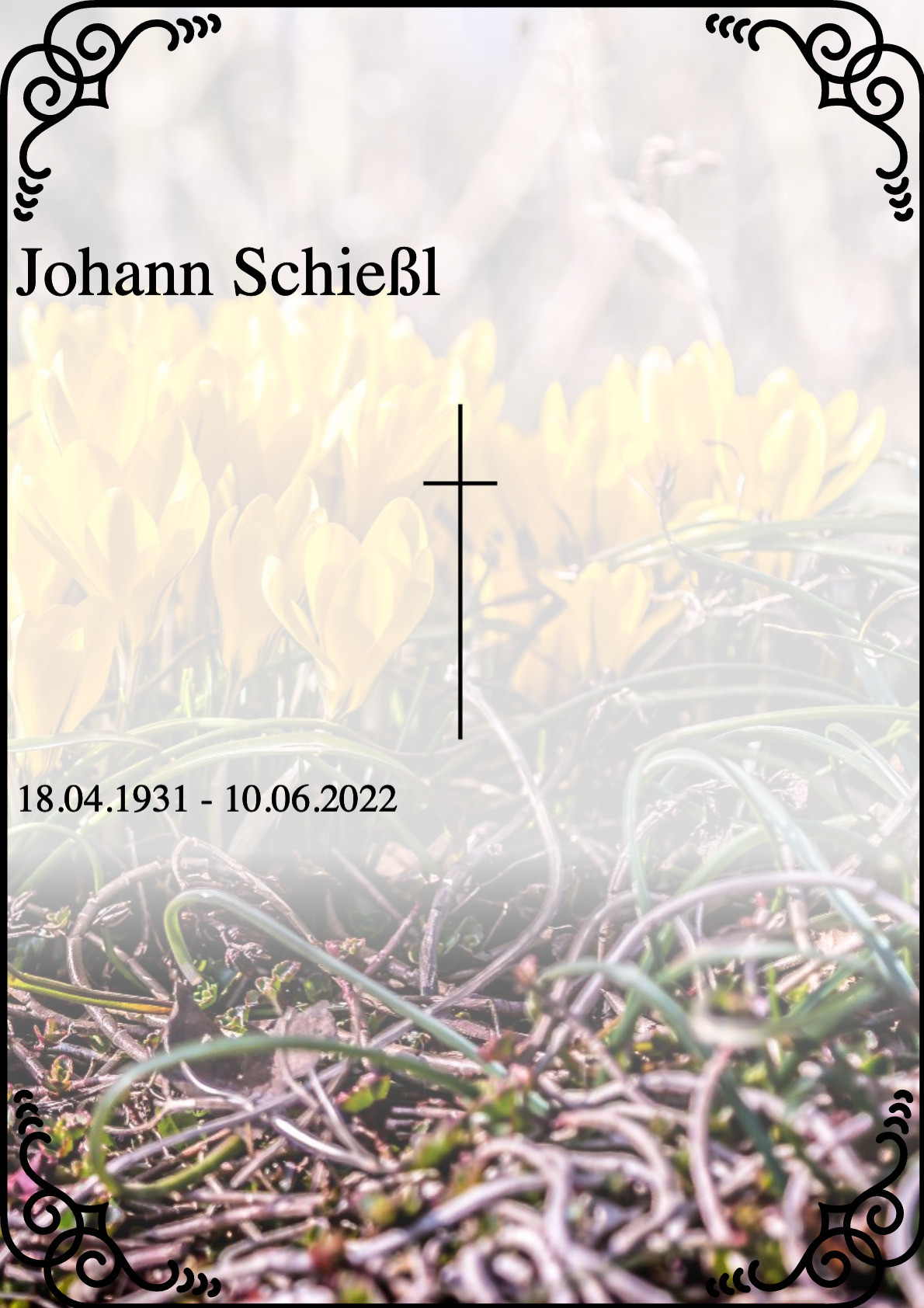 Traueranzeige von Johann Schießl