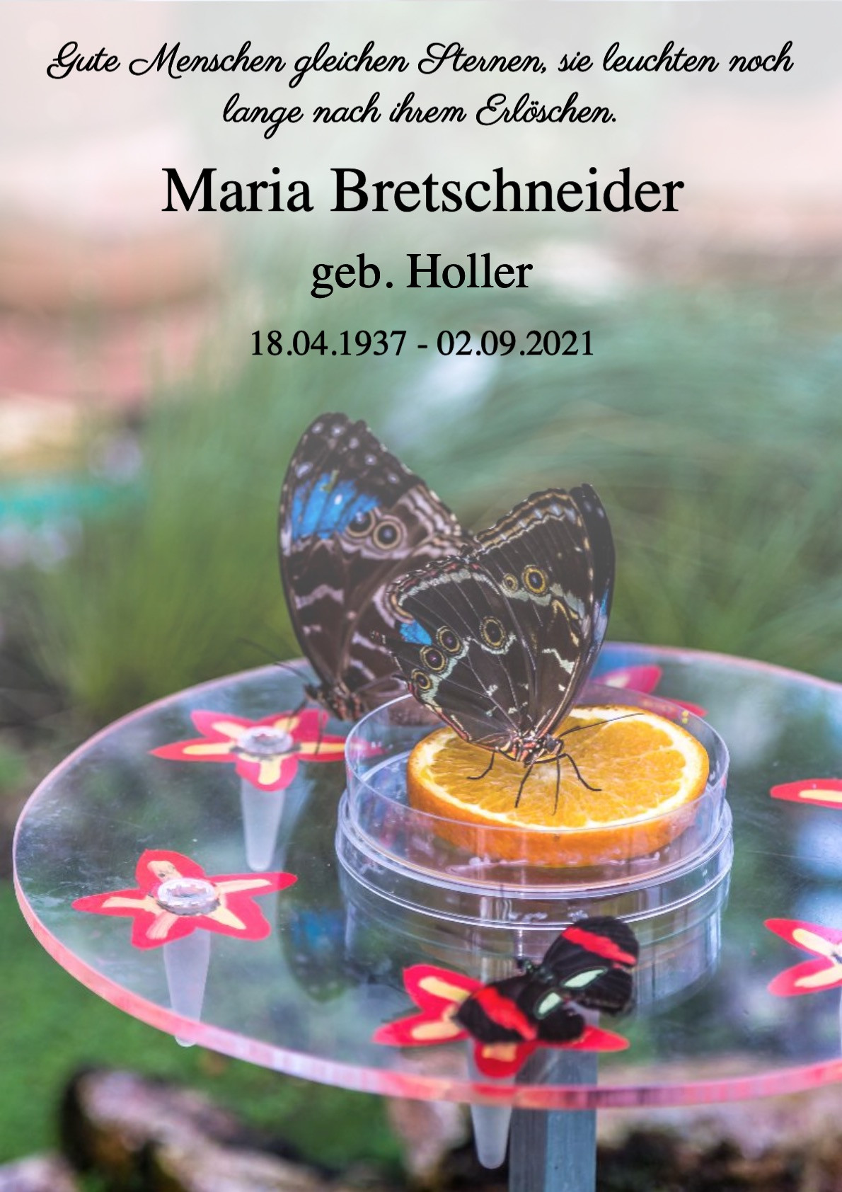 Traueranzeige von Maria Bretschneider