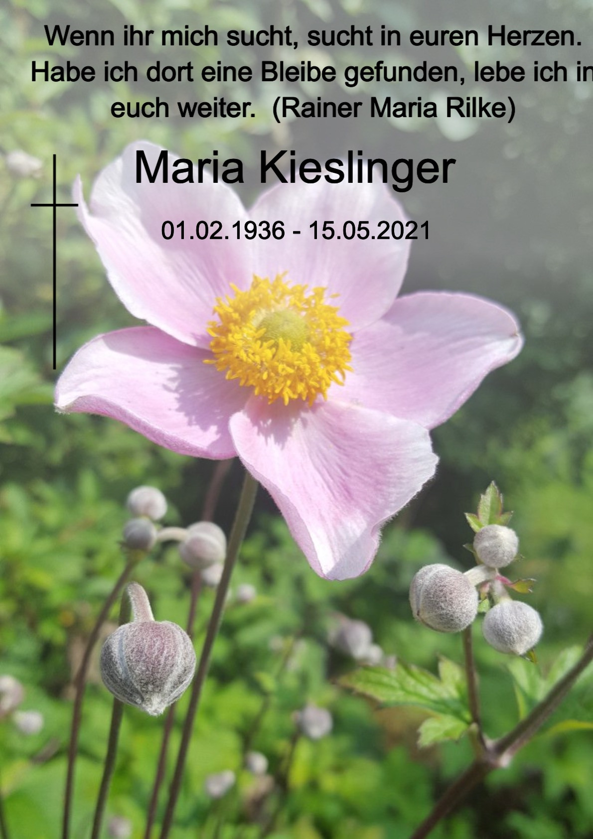 Traueranzeige von Maria Kieslinger
