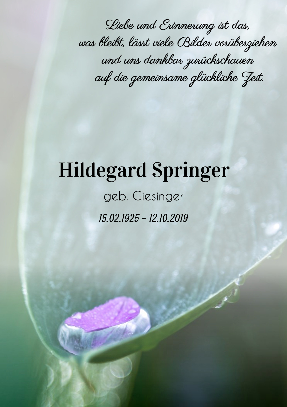 Traueranzeige von Hildegard Springer