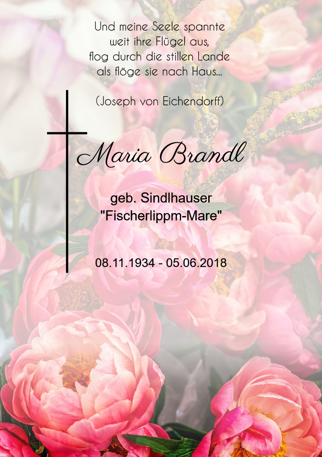 Traueranzeige von Maria Brandl