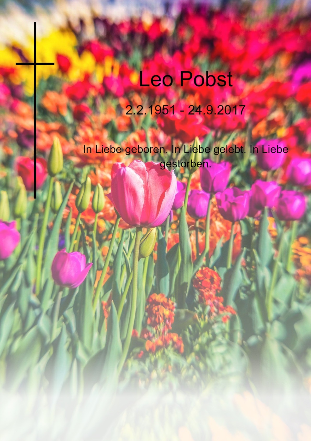 Traueranzeige von Leo Pobst