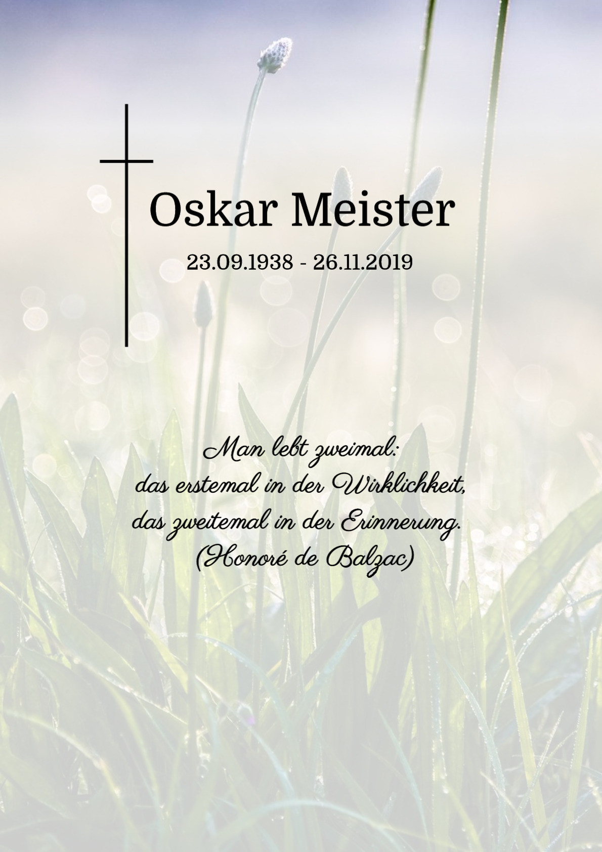Traueranzeige von Oskar Meister