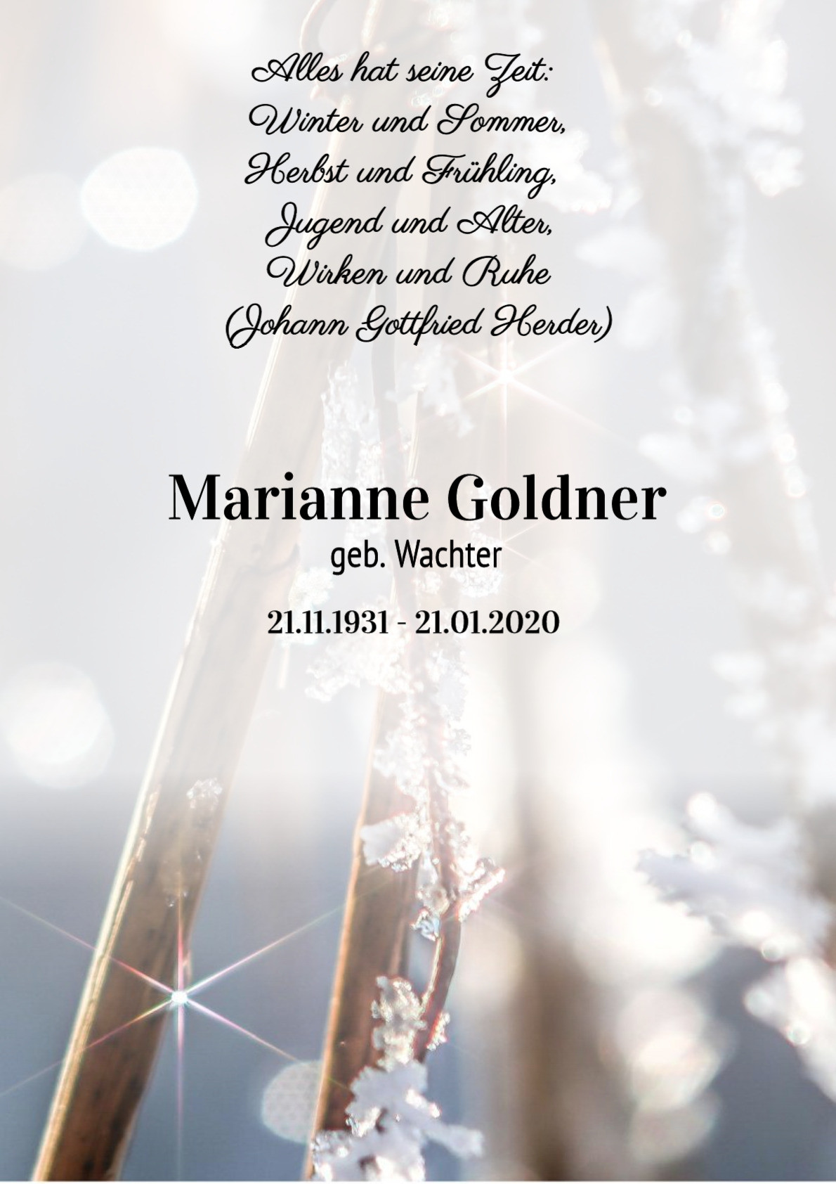 Traueranzeige von Marianne Goldner