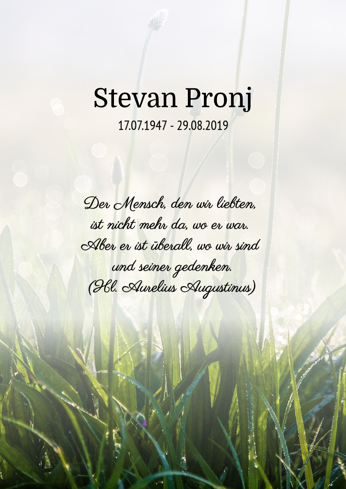 Traueranzeige von Stevan Pronj
