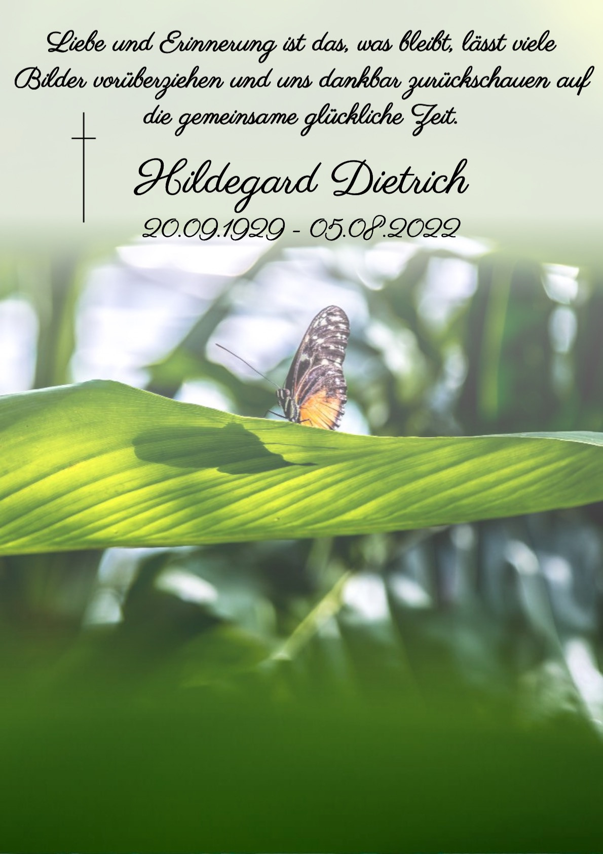 Traueranzeige von Hildegard Dietrich