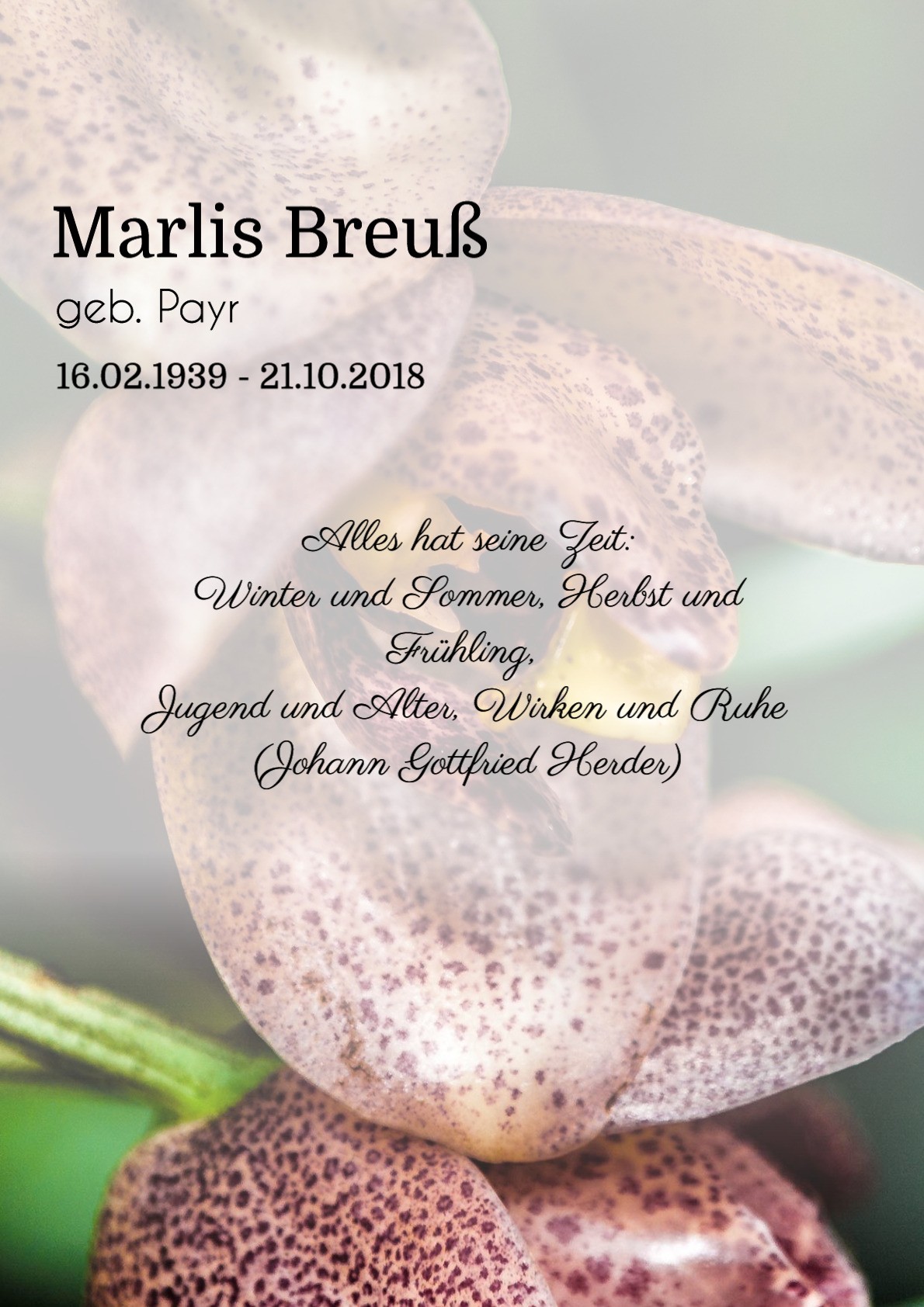 Traueranzeige von Marlis Breuß