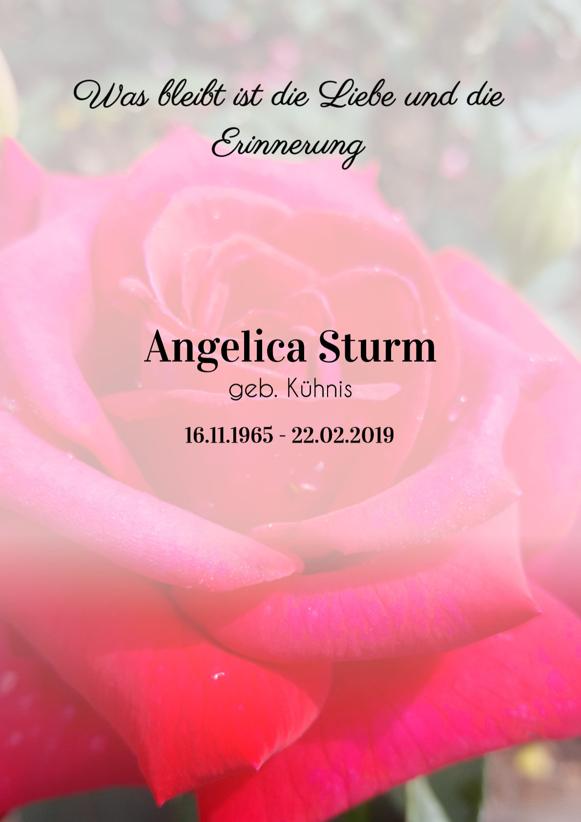 Traueranzeige von Angelica Sturm