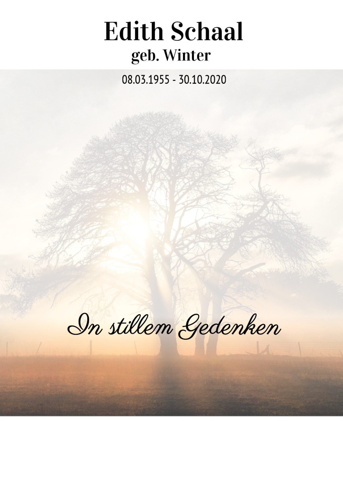 Traueranzeige von Edith Schaal