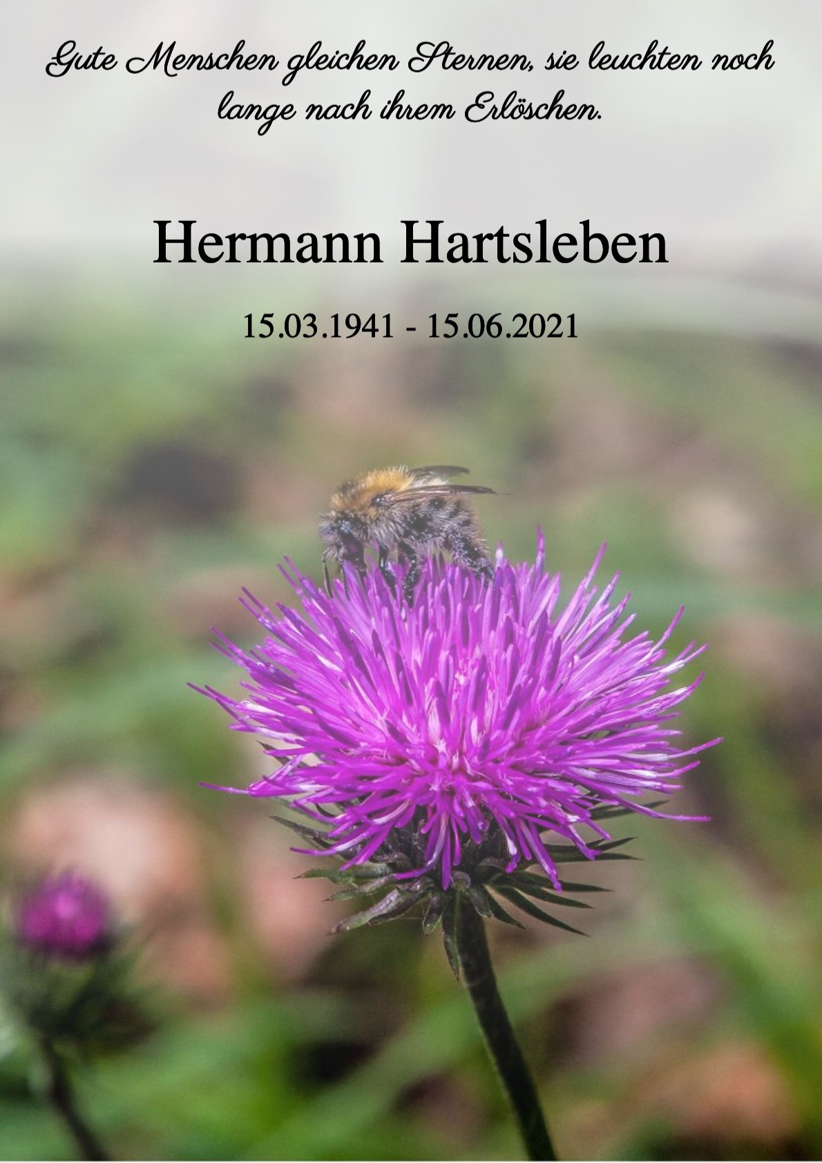 Traueranzeige von Hermann Hartsleben