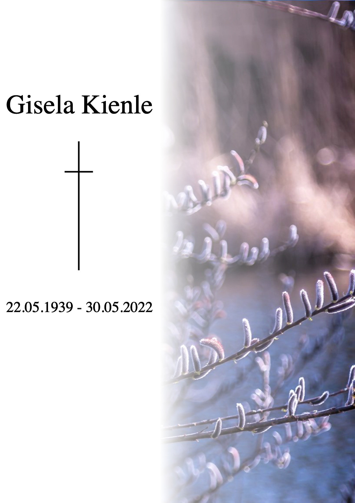 Traueranzeige von Gisela Kienle
