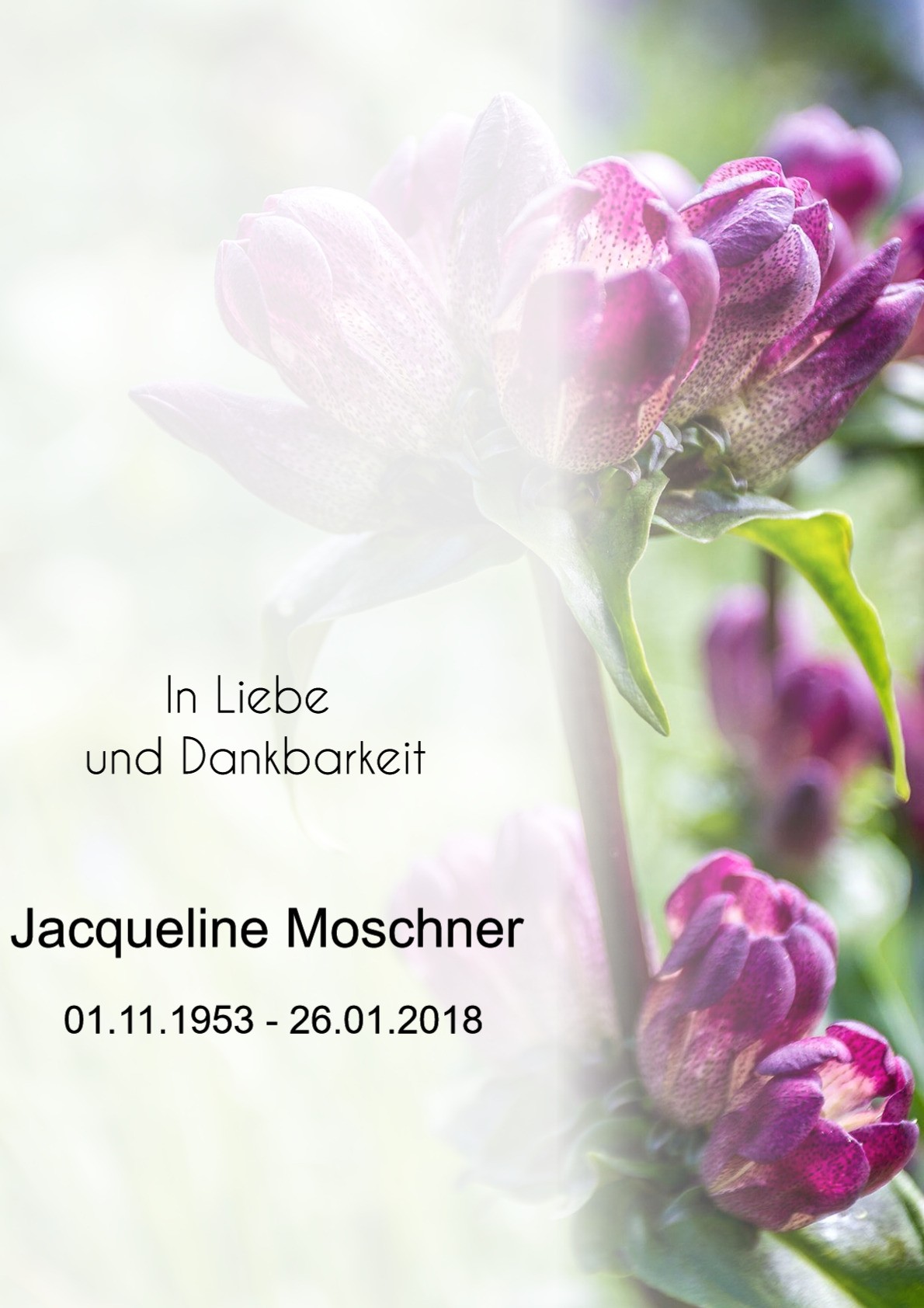 Traueranzeige von Jacqueline Moschner