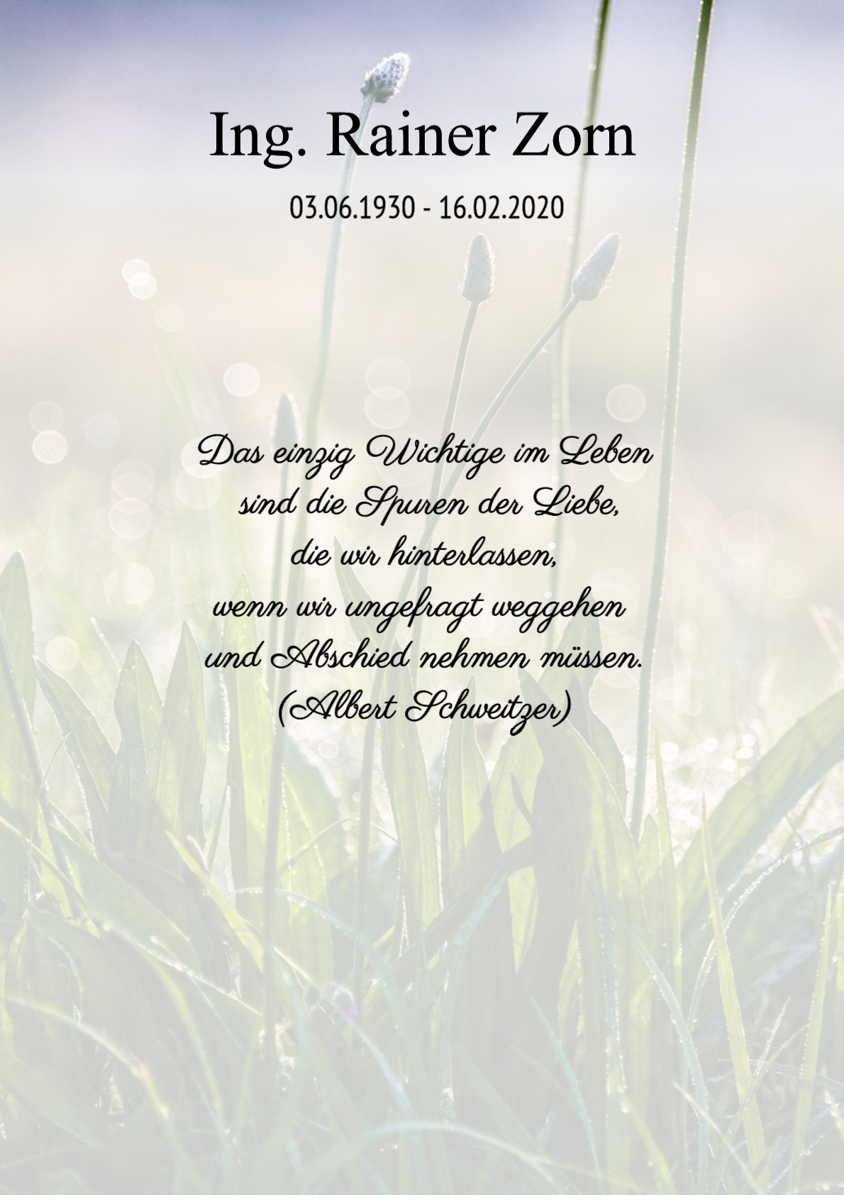 Traueranzeige von Ing. Rainer Zorn