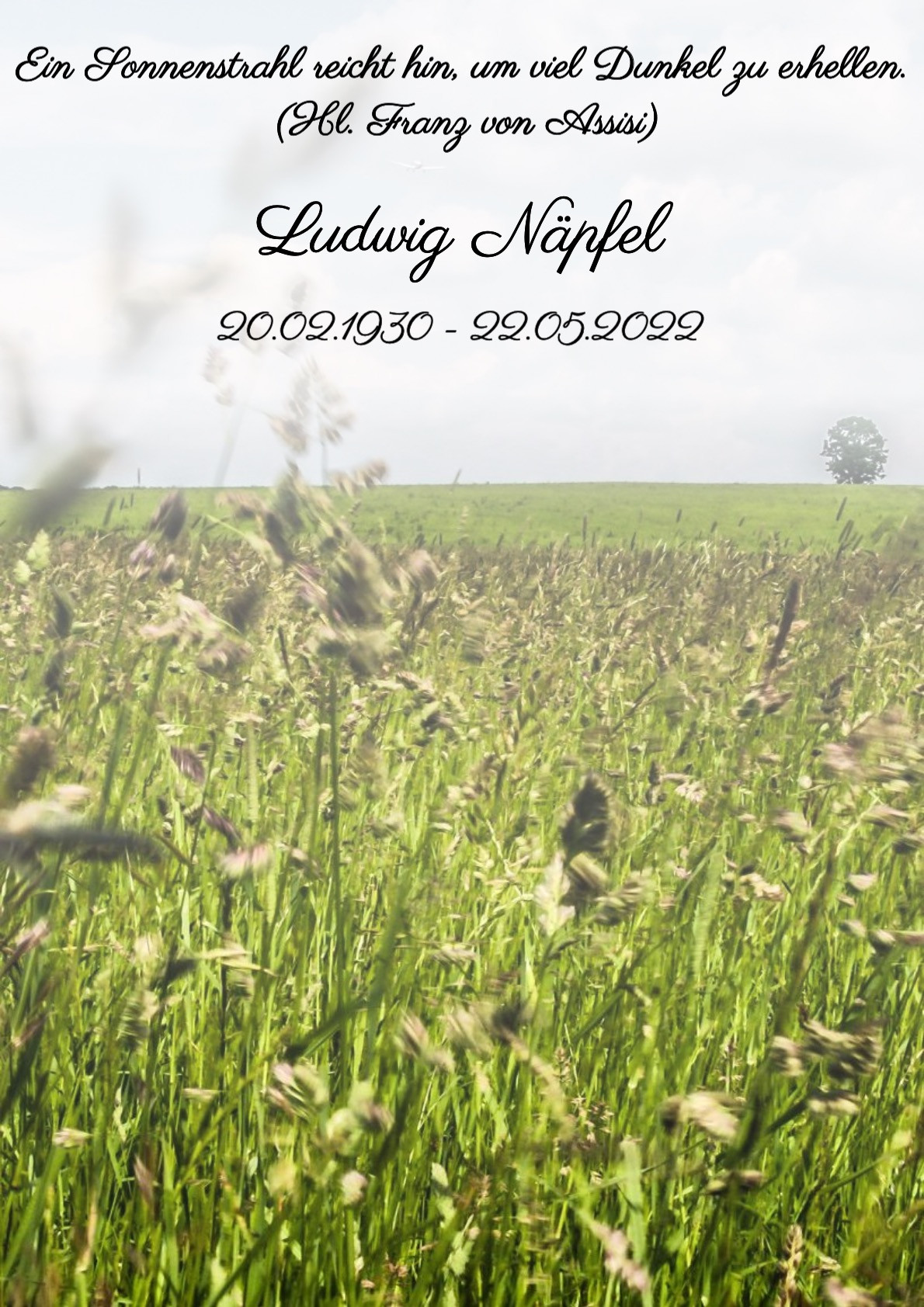Traueranzeige von Ludwig Näpfel