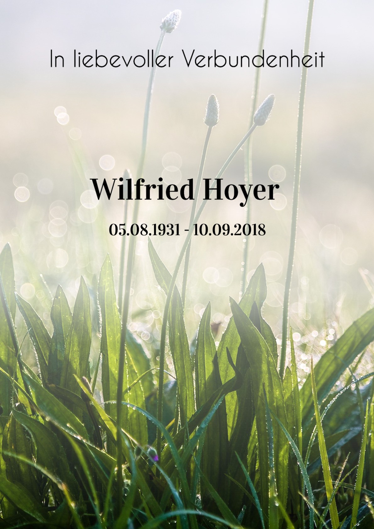 Traueranzeige von Wilfried Hoyer