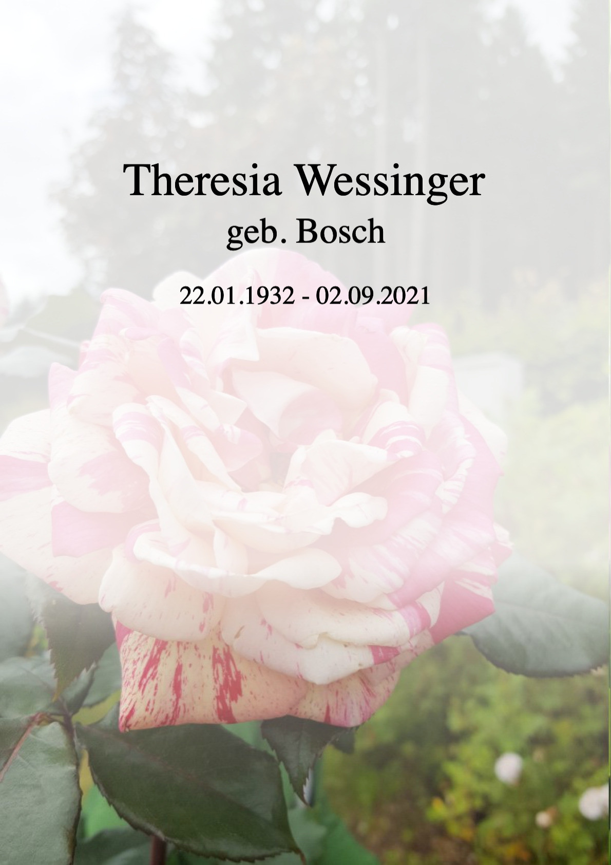 Traueranzeige von Theresia Wessinger