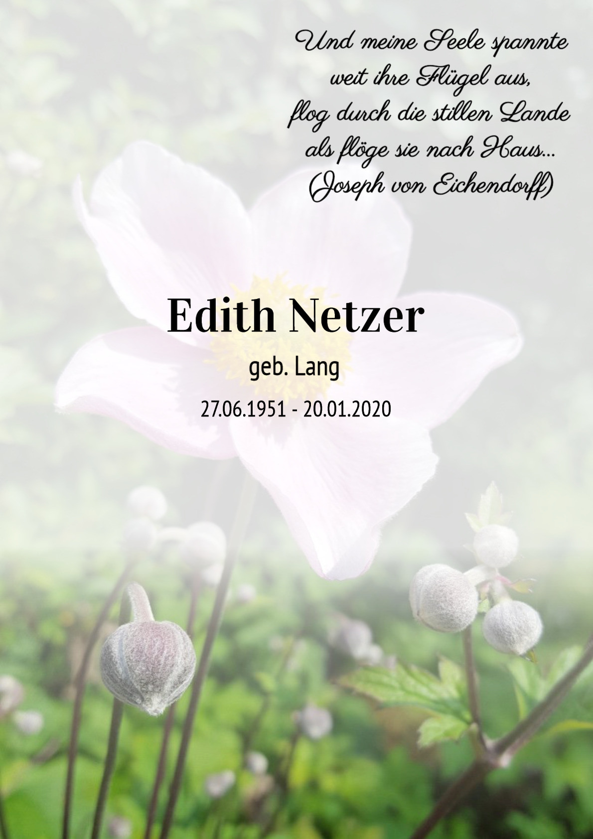 Traueranzeige von Edith Netzer