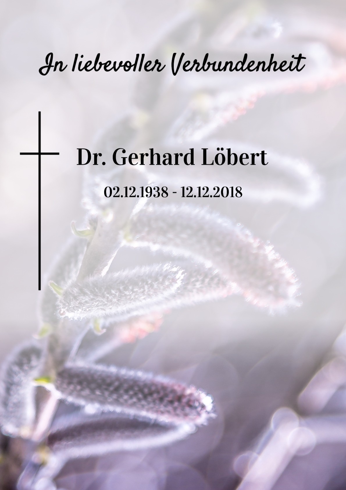 Traueranzeige von Dr. Gerhard Löbert